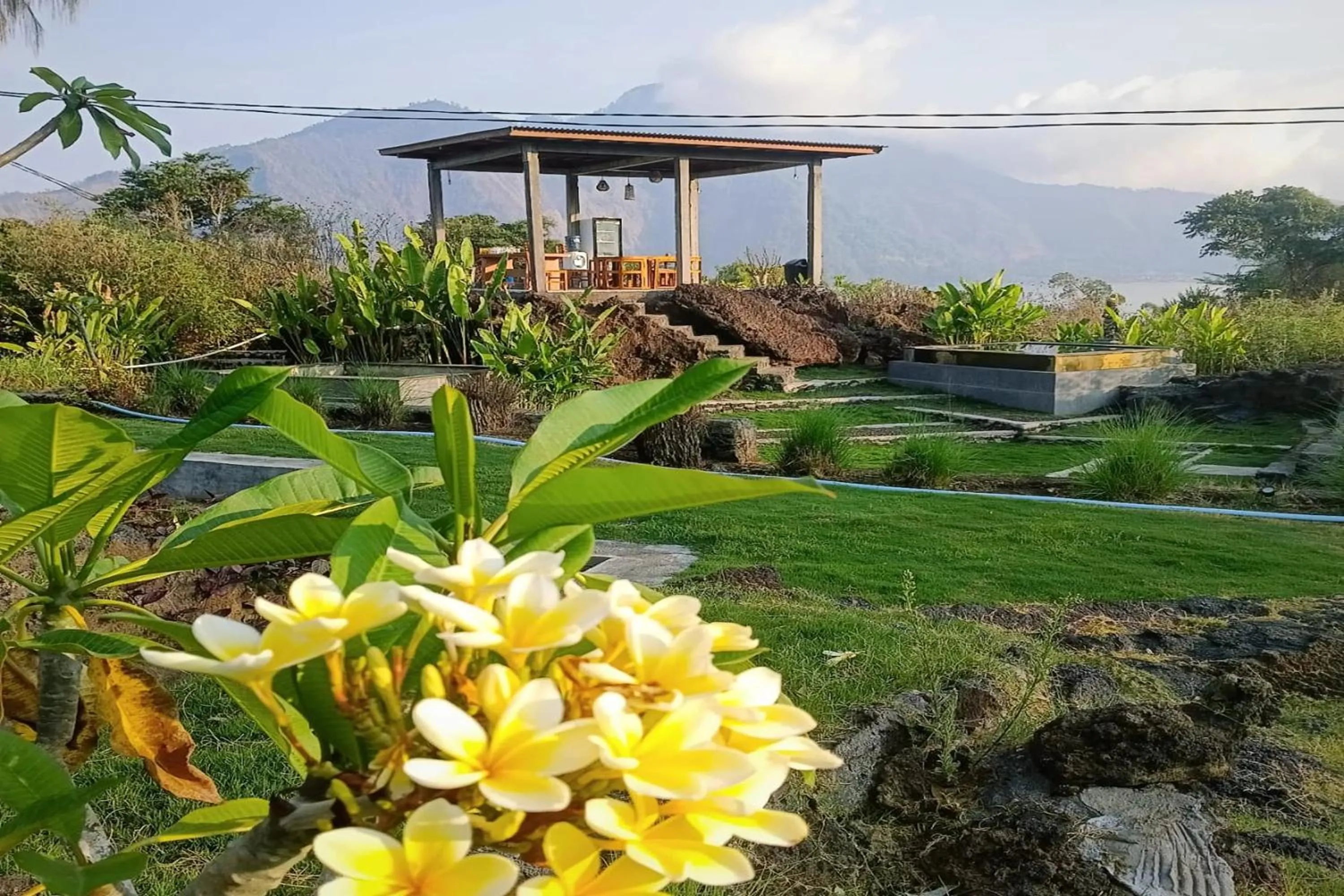 Day in Onion Garden And Natural Hotspring