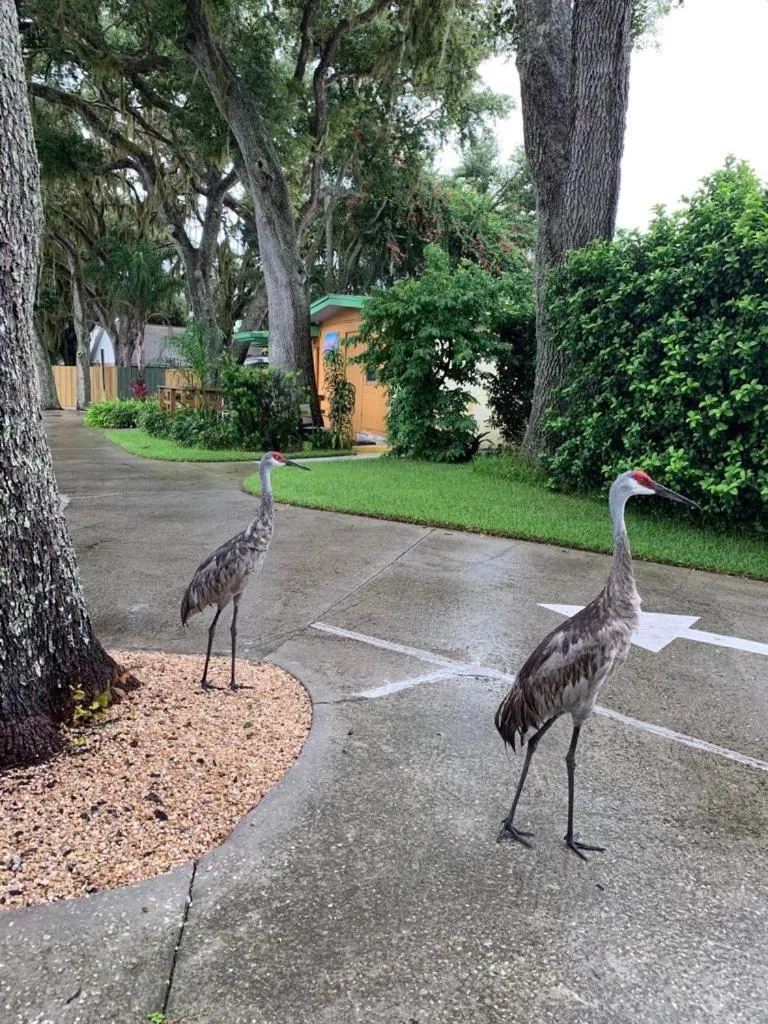 Lakeside Inn and Cafe