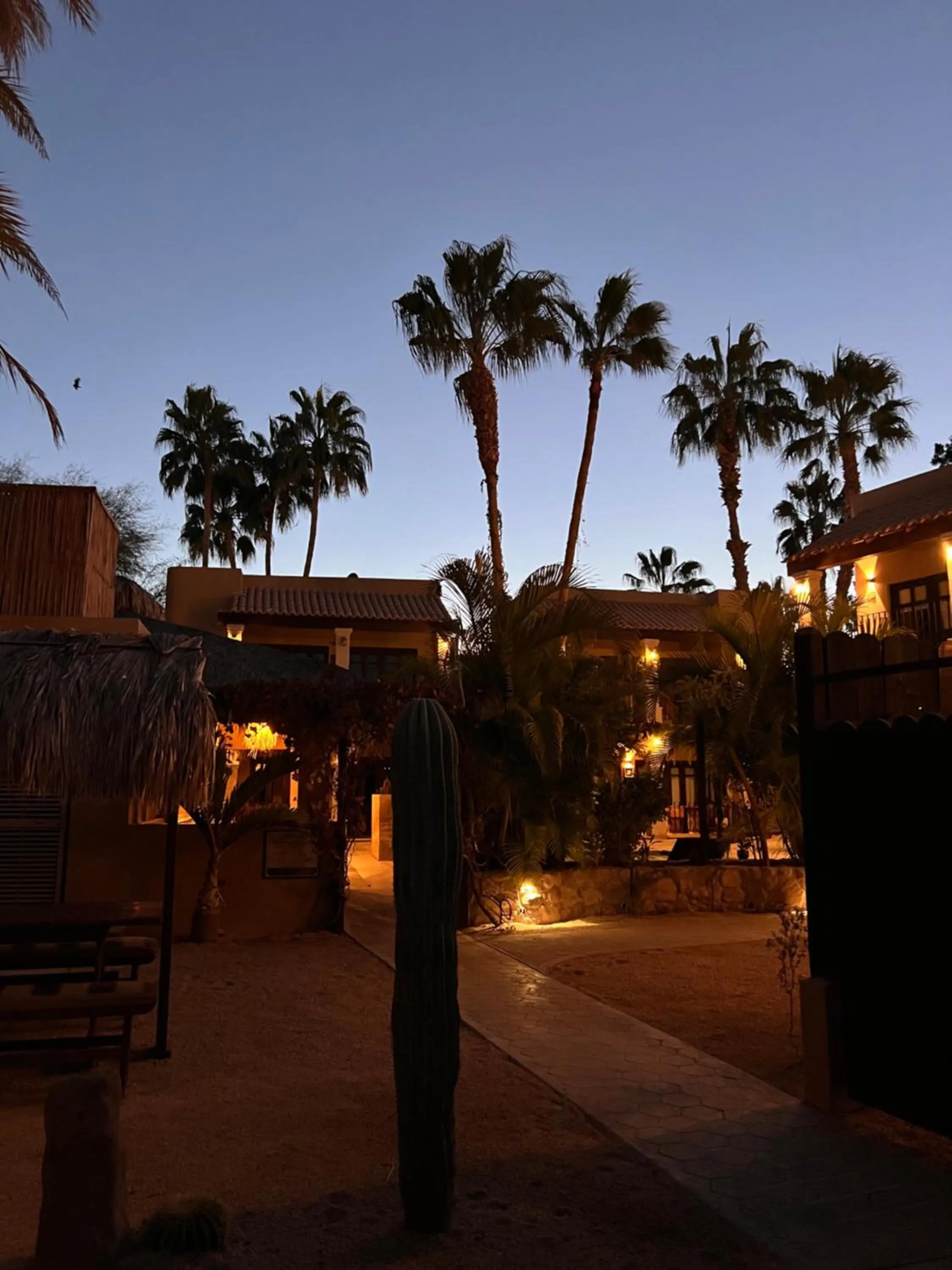 Day in Hotel 1697 Loreto