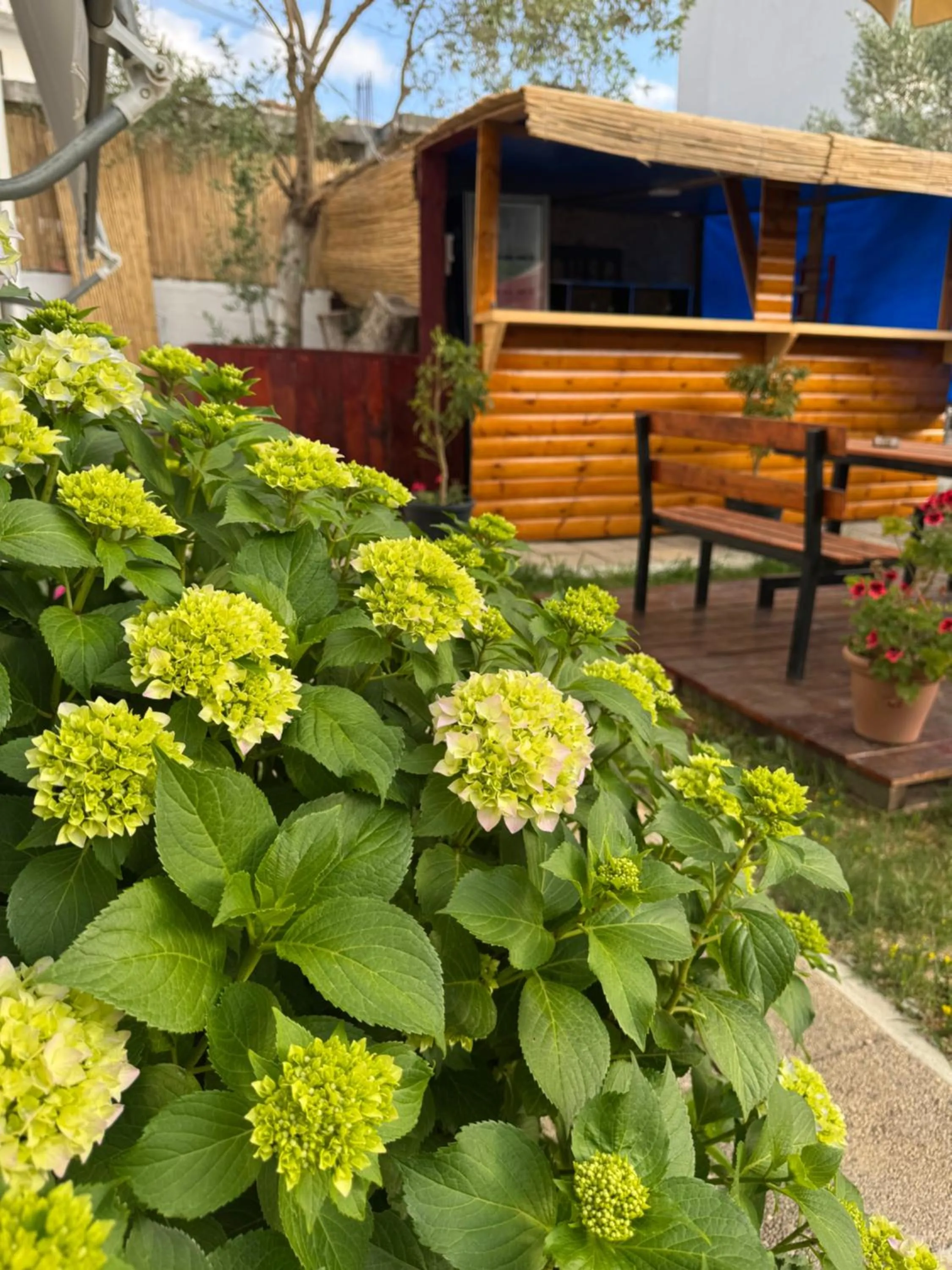 Garden in Central Garden Sofia 1- Free Parking