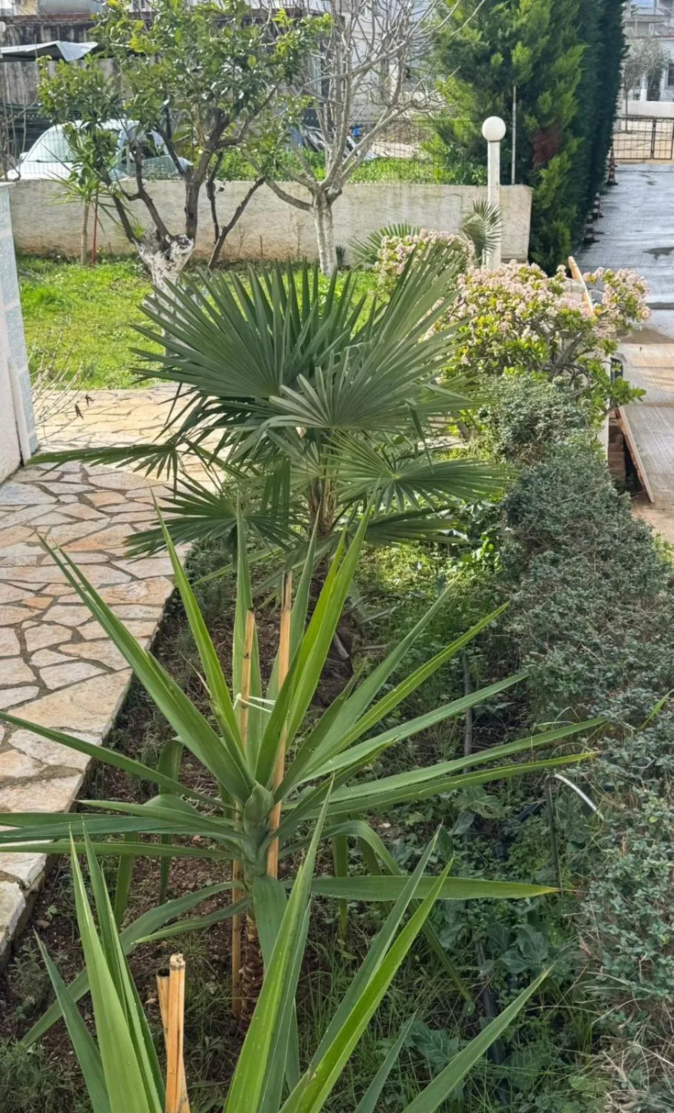 Garden in Central Garden Sofia 1- Free Parking