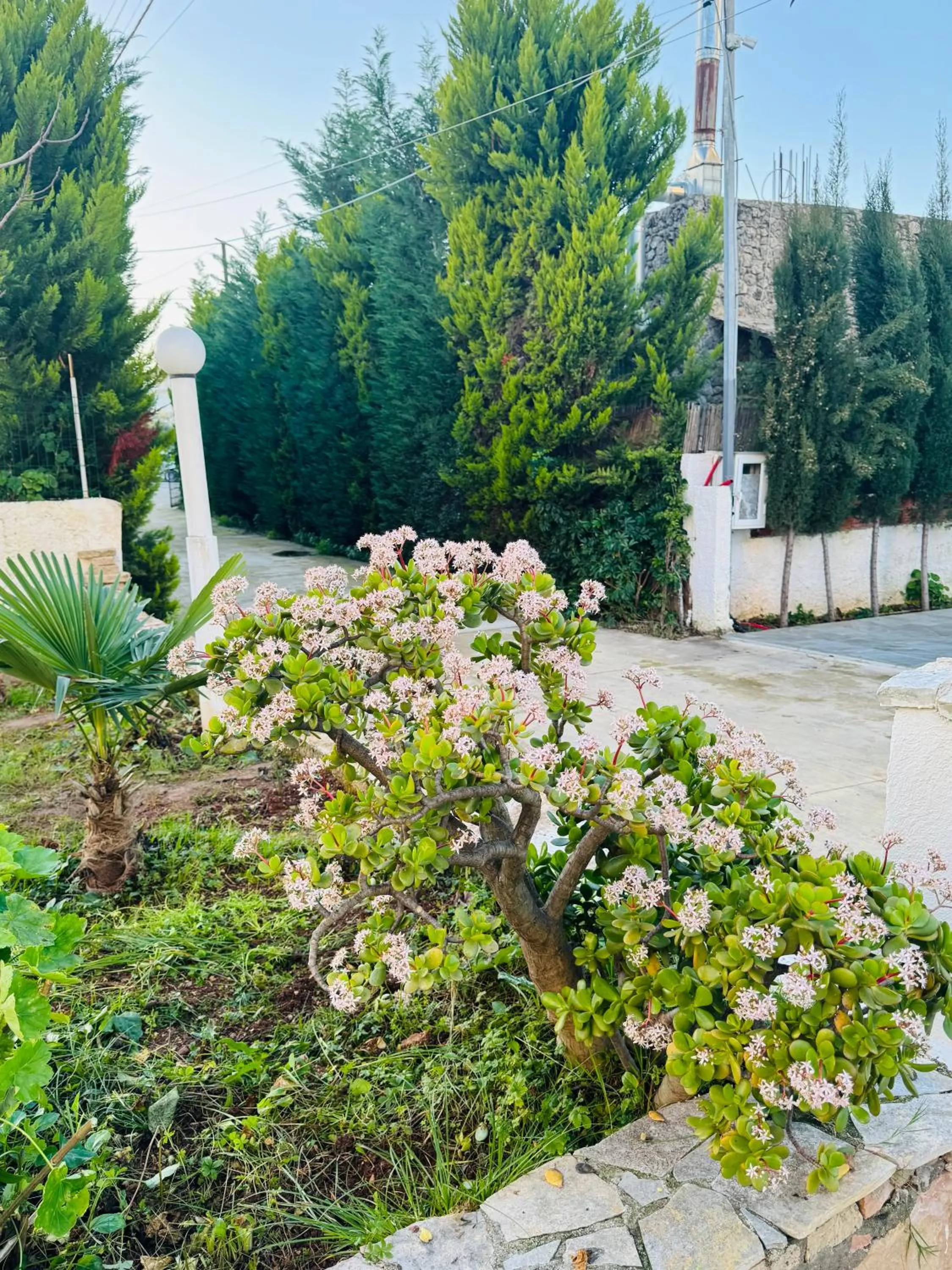 Garden view in Central Garden Sofia 1- Free Parking