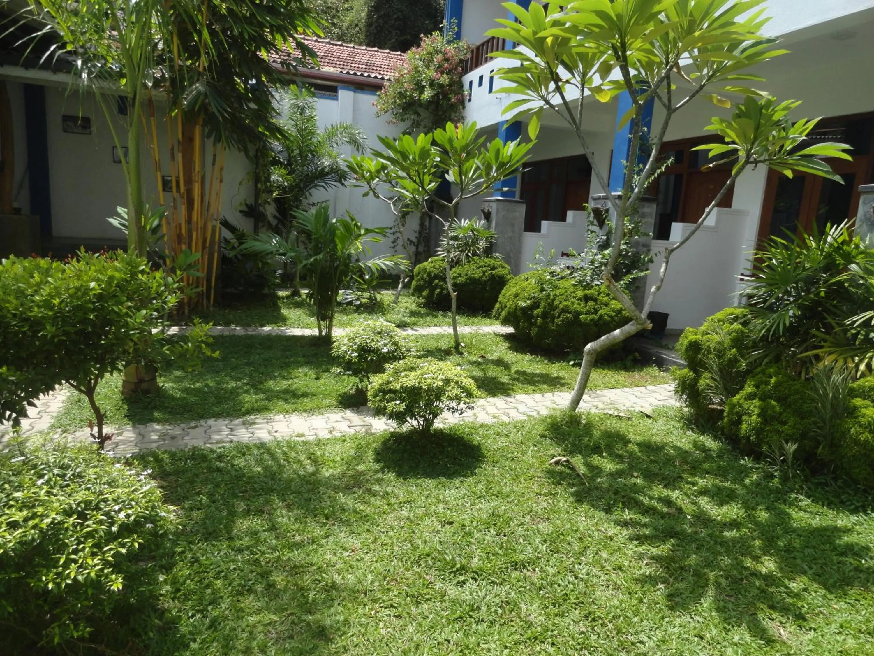 Garden in Aaradhya Mirissa