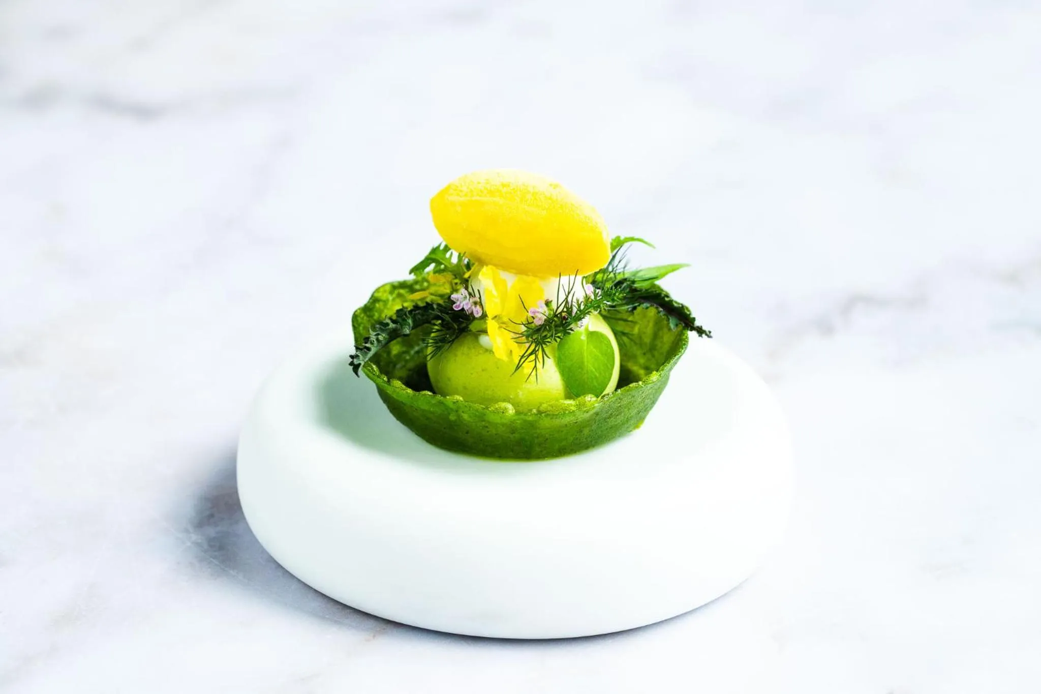 Food and drinks in Hotel Villa Ruimzicht