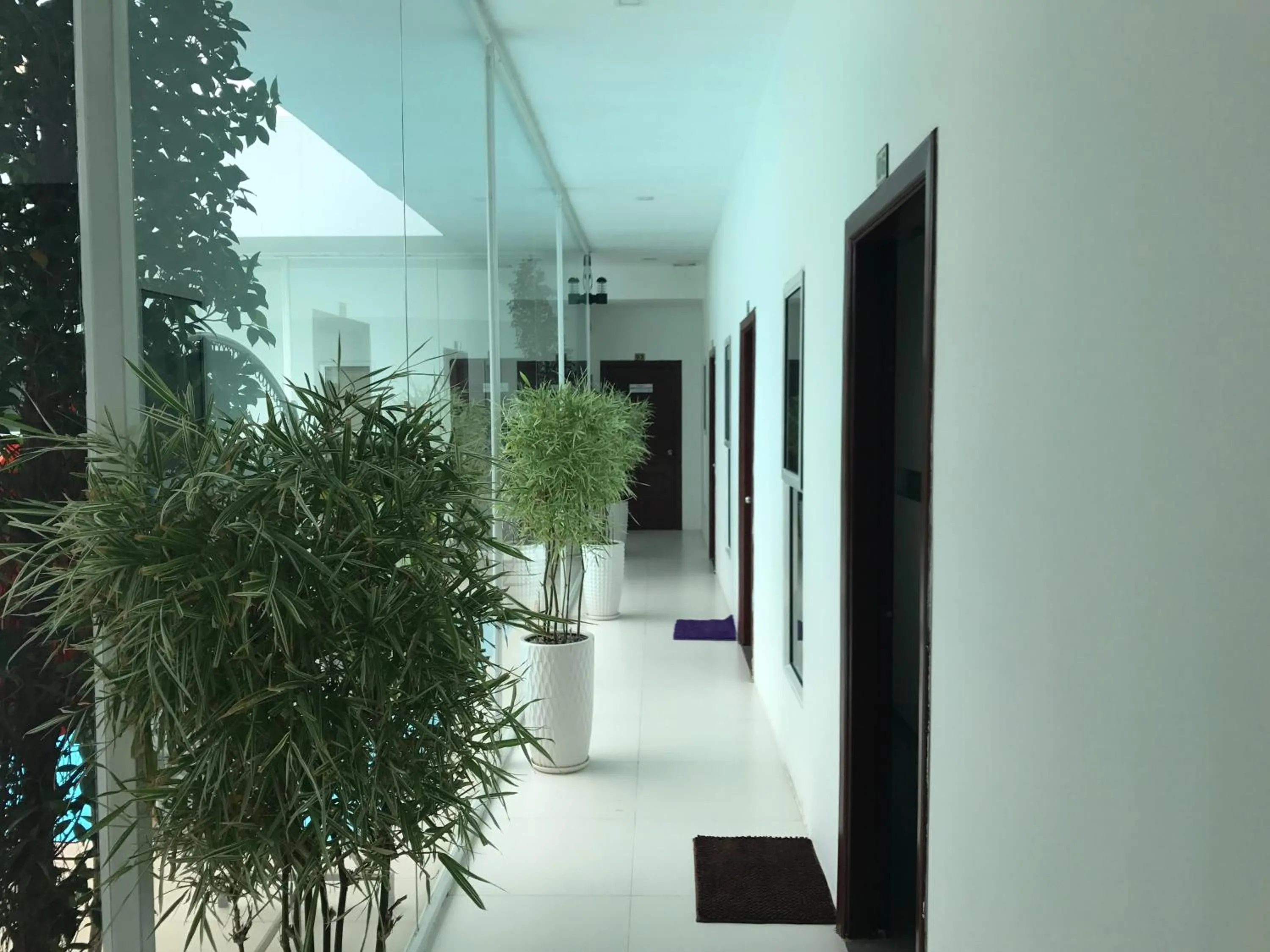 Area and facilities in Onederz SHV Golden Lion