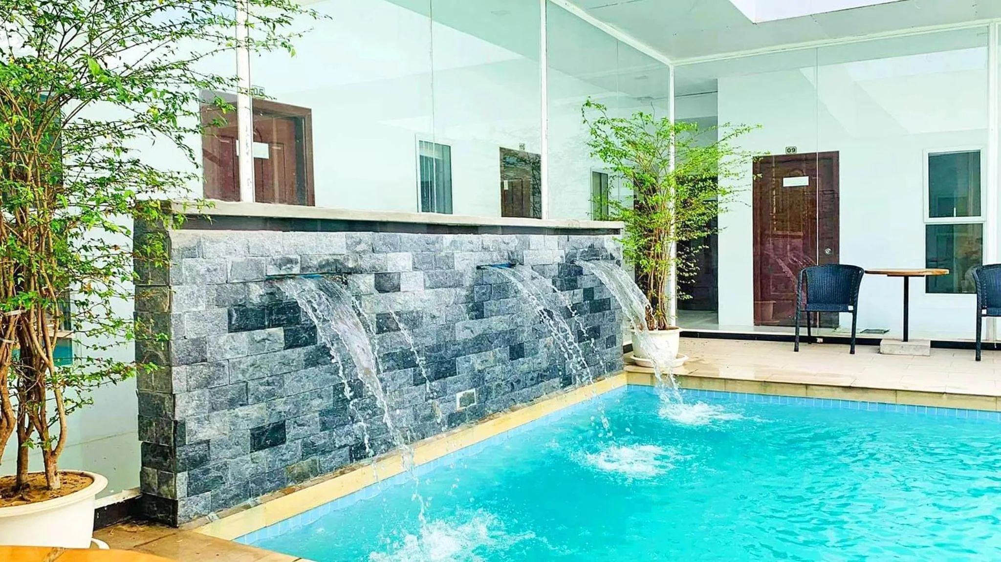 Onederz SHV Golden Lion