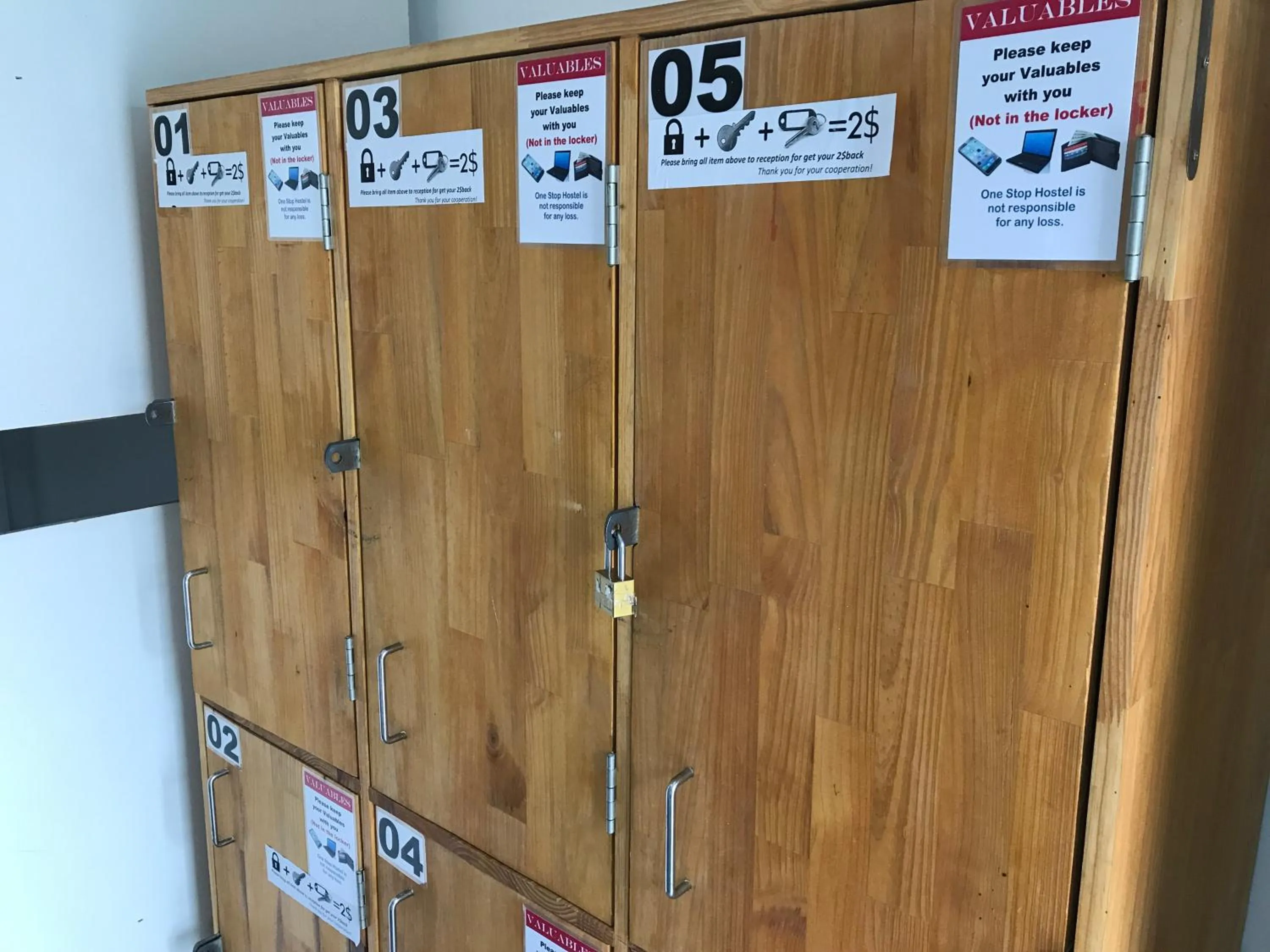 Onederz SHV Golden Lion