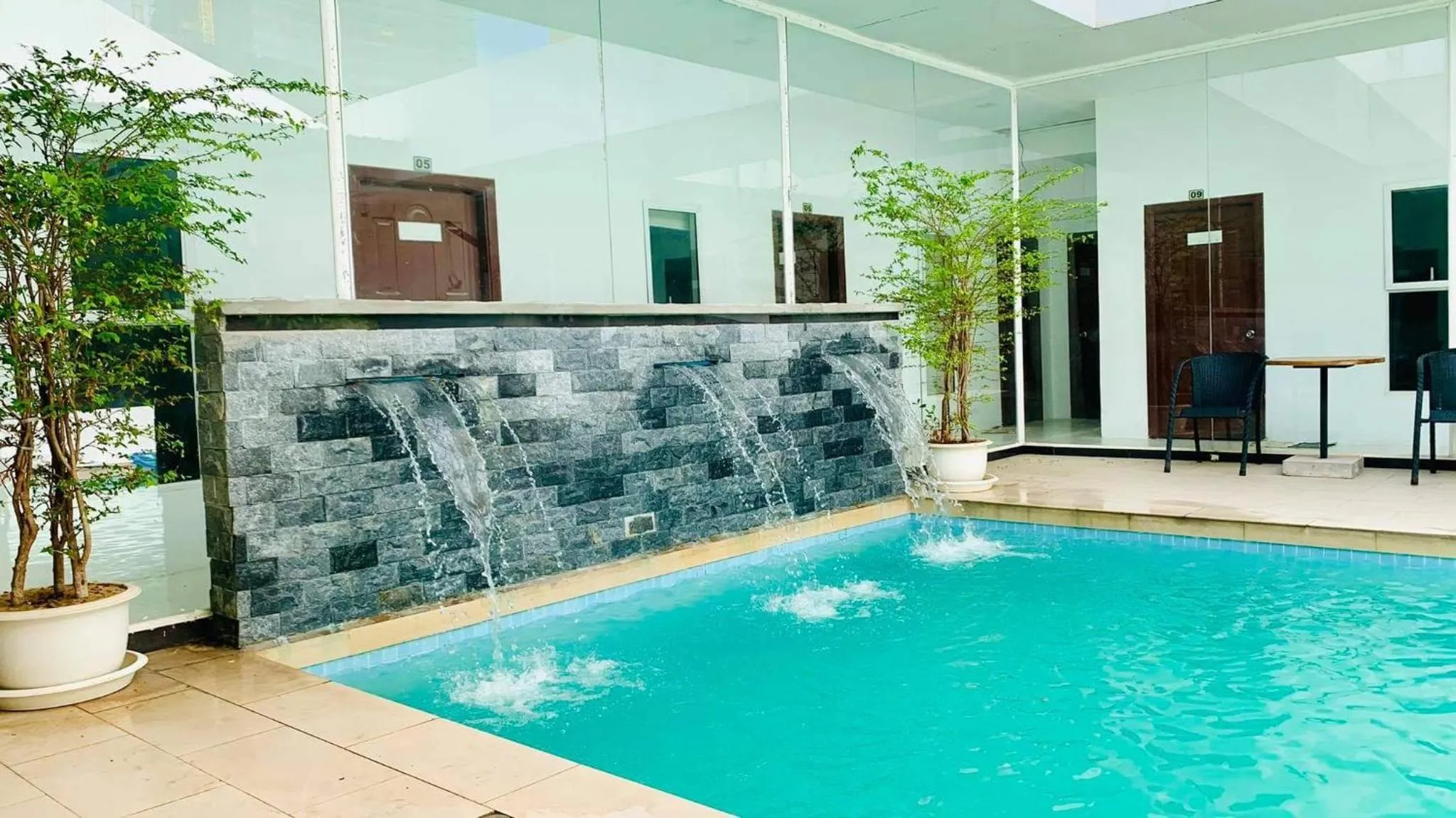 Onederz SHV Golden Lion