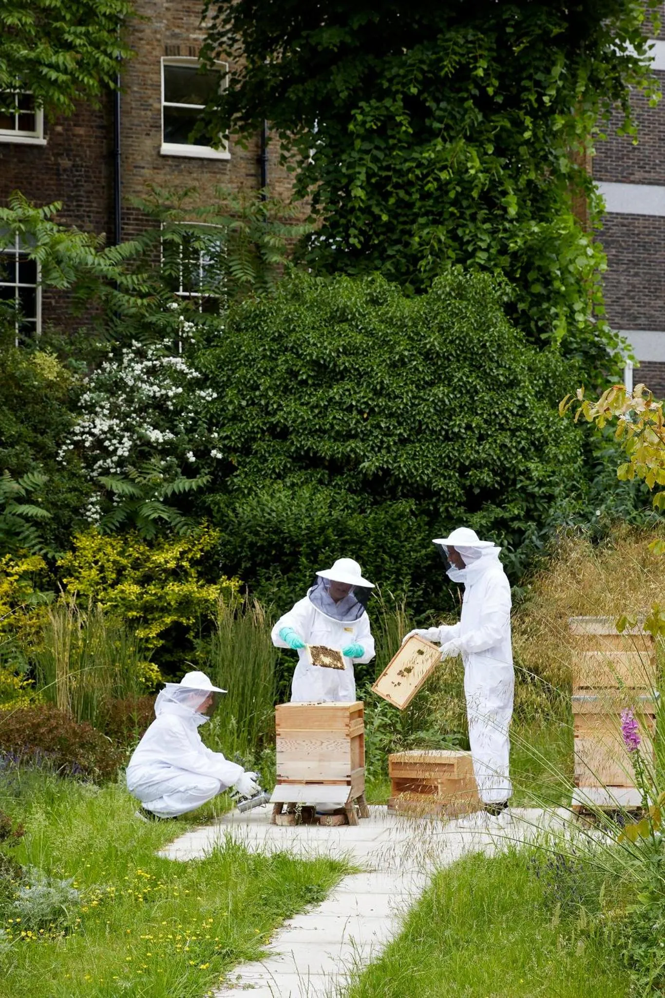 Property building in The Montague On The Gardens