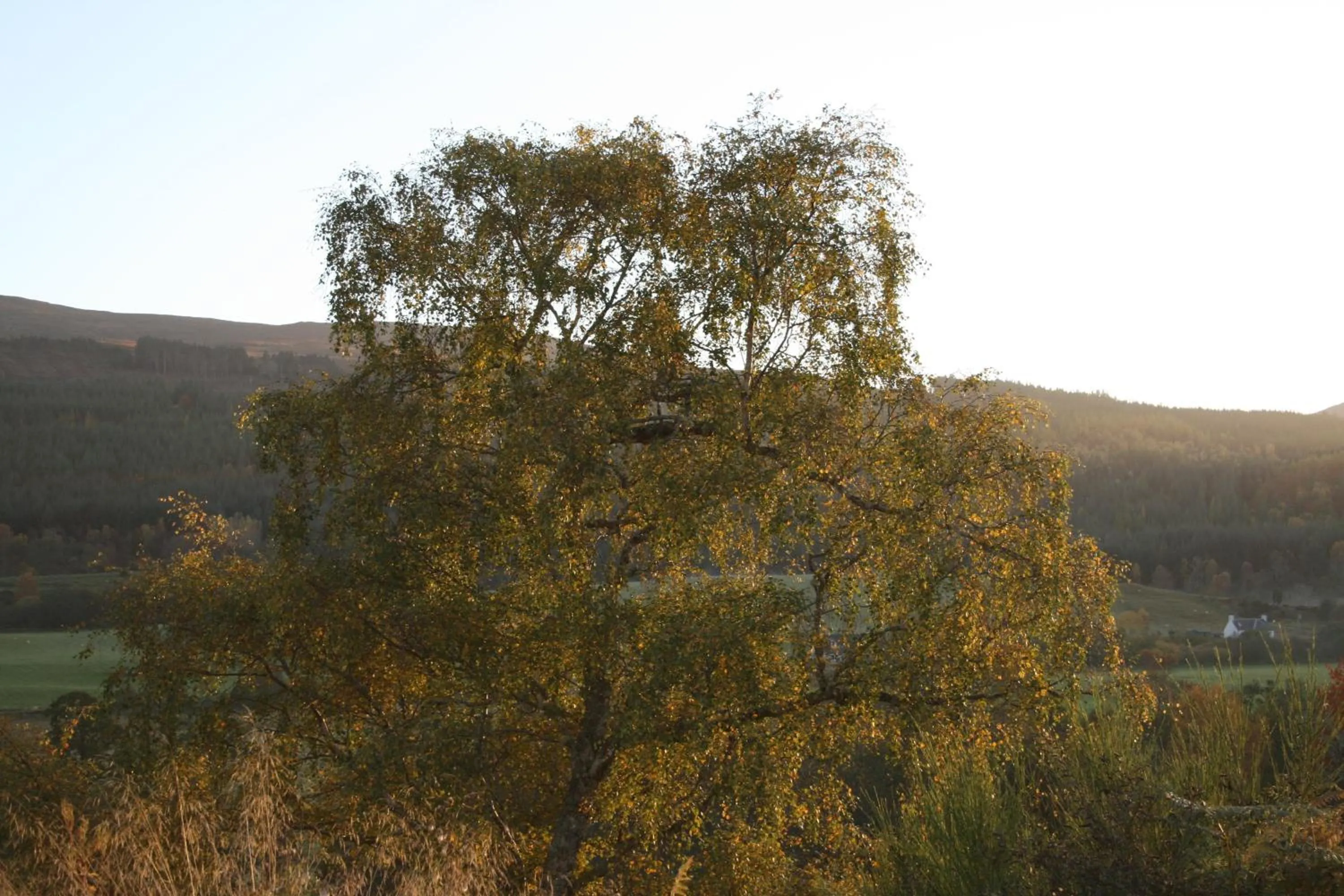 Nearby landmark in BCC Loch Ness Hostel