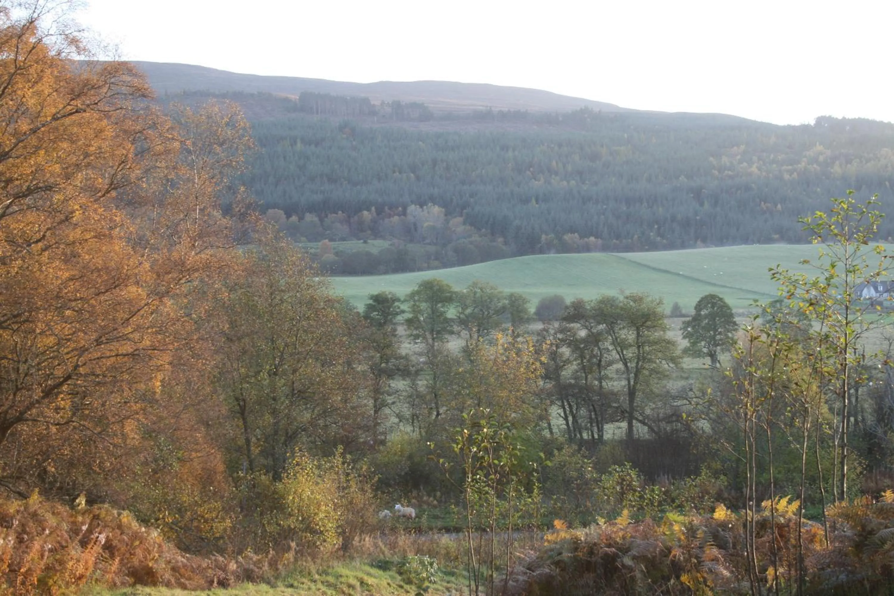 Nearby landmark in BCC Loch Ness Hostel