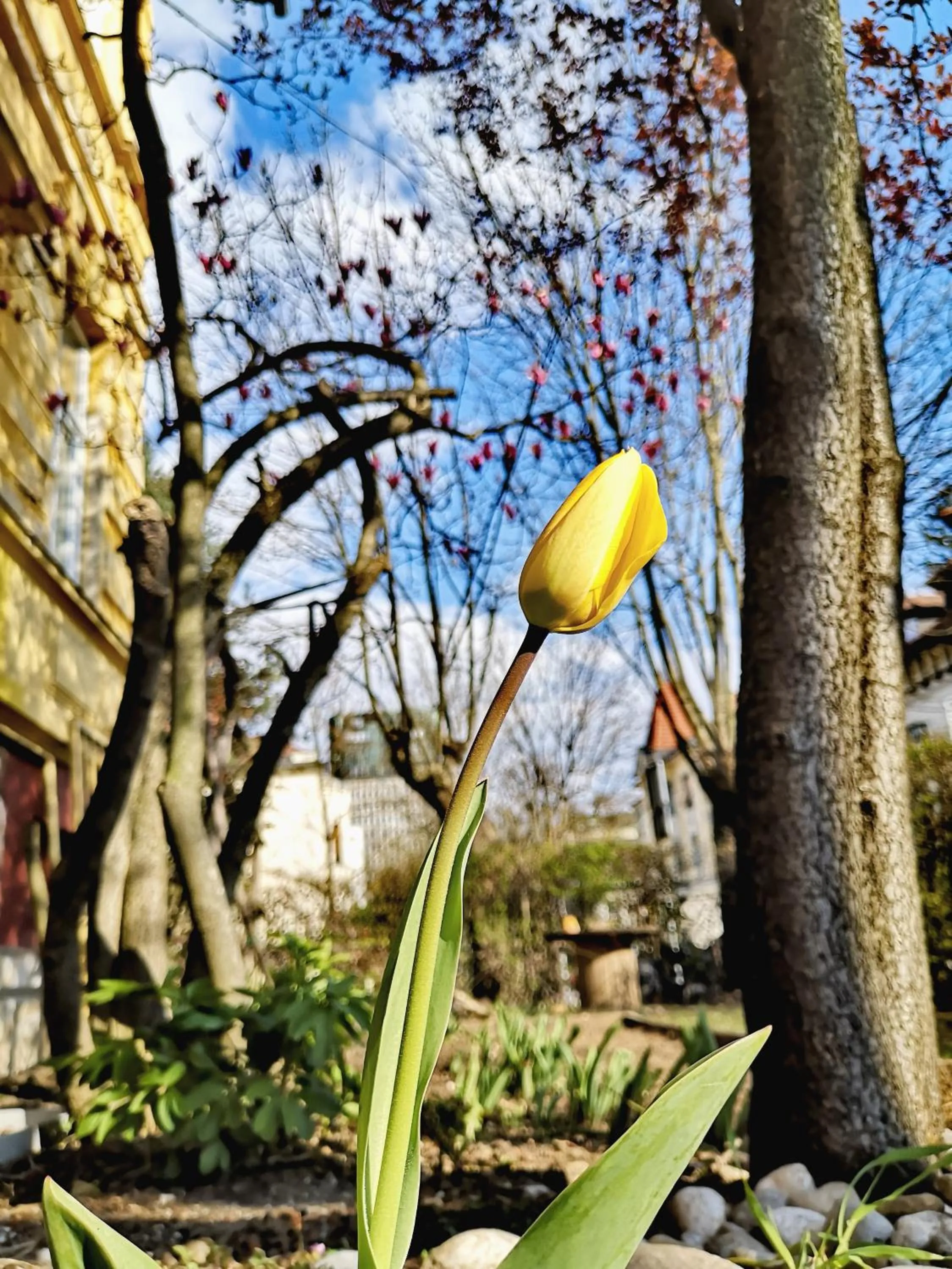 The Villa, Ljubljana city center