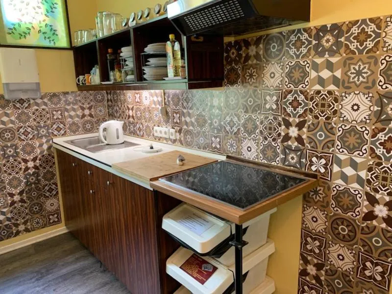 The Villa, Ljubljana city center