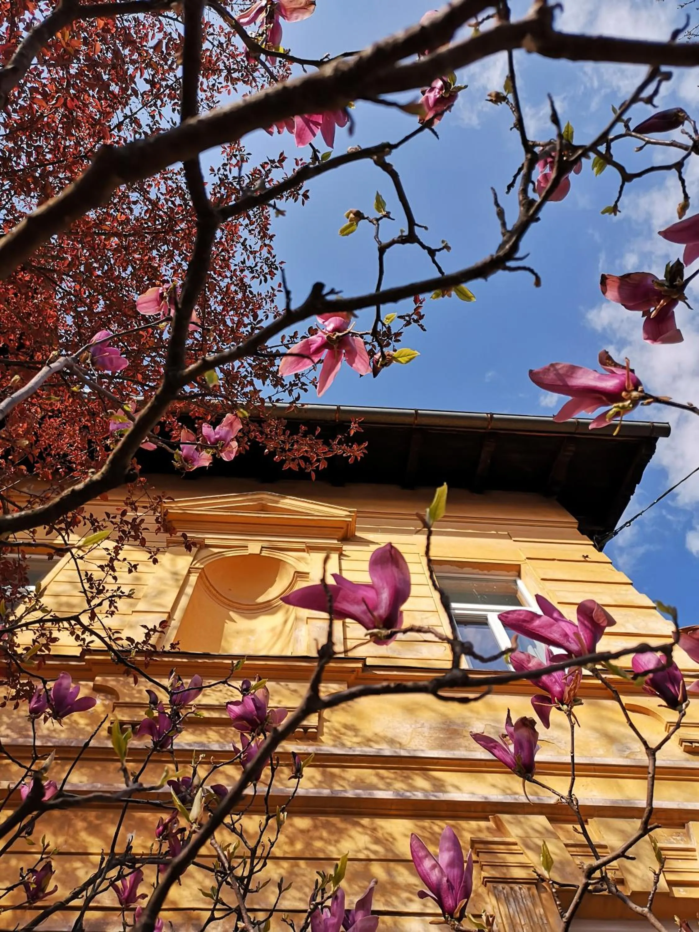 The Villa, Ljubljana city center