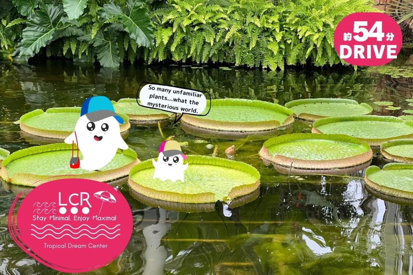 Nearby landmark in LOW COST RESORT MANZA BEACH （旧：北海荘）