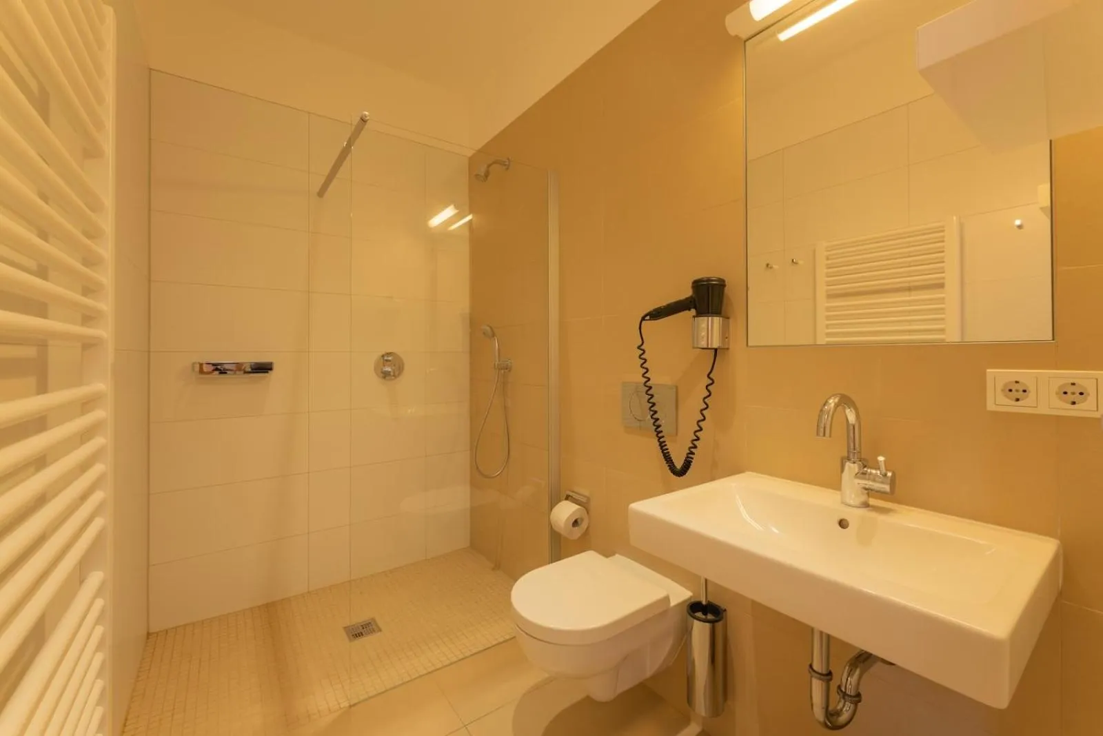 Shower in Biohotel Stiftsgut Wilhelmsglücksbrunn