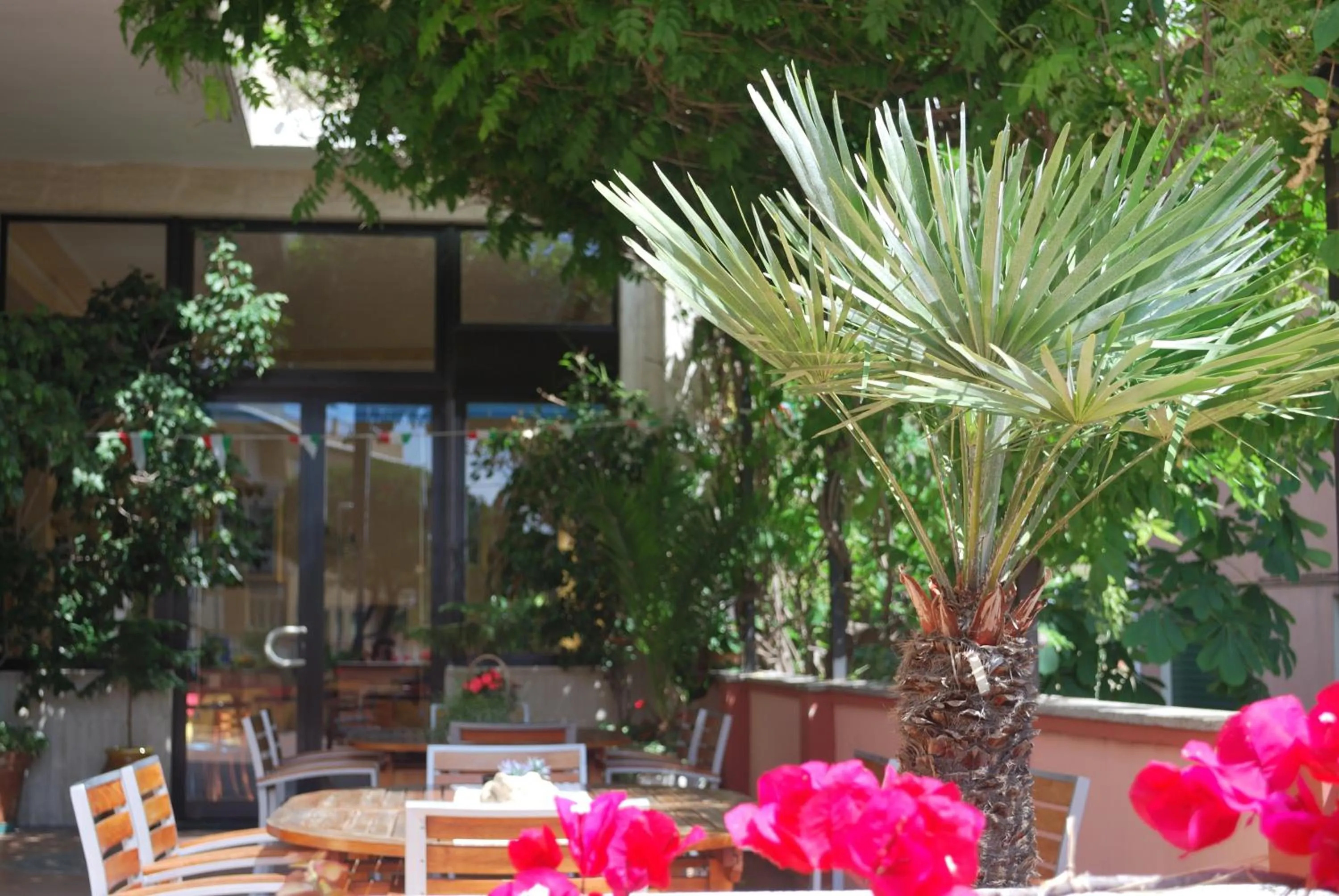 Balcony/Terrace in Hotel Galleano