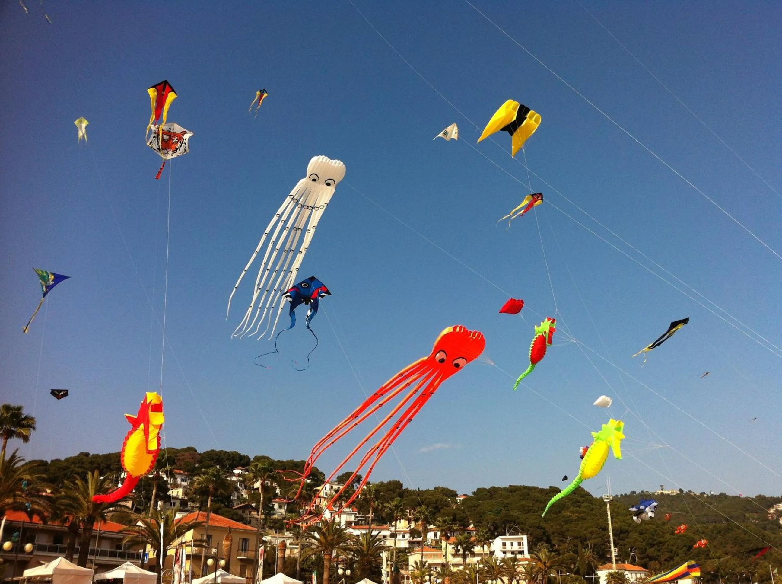 Sports in Hotel Galleano