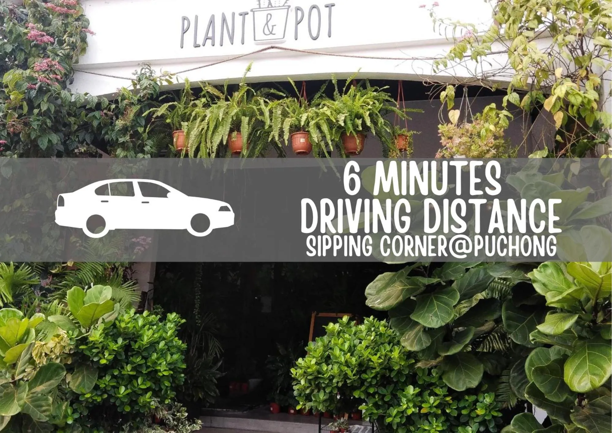 Seeds Hotel Puchong Koi