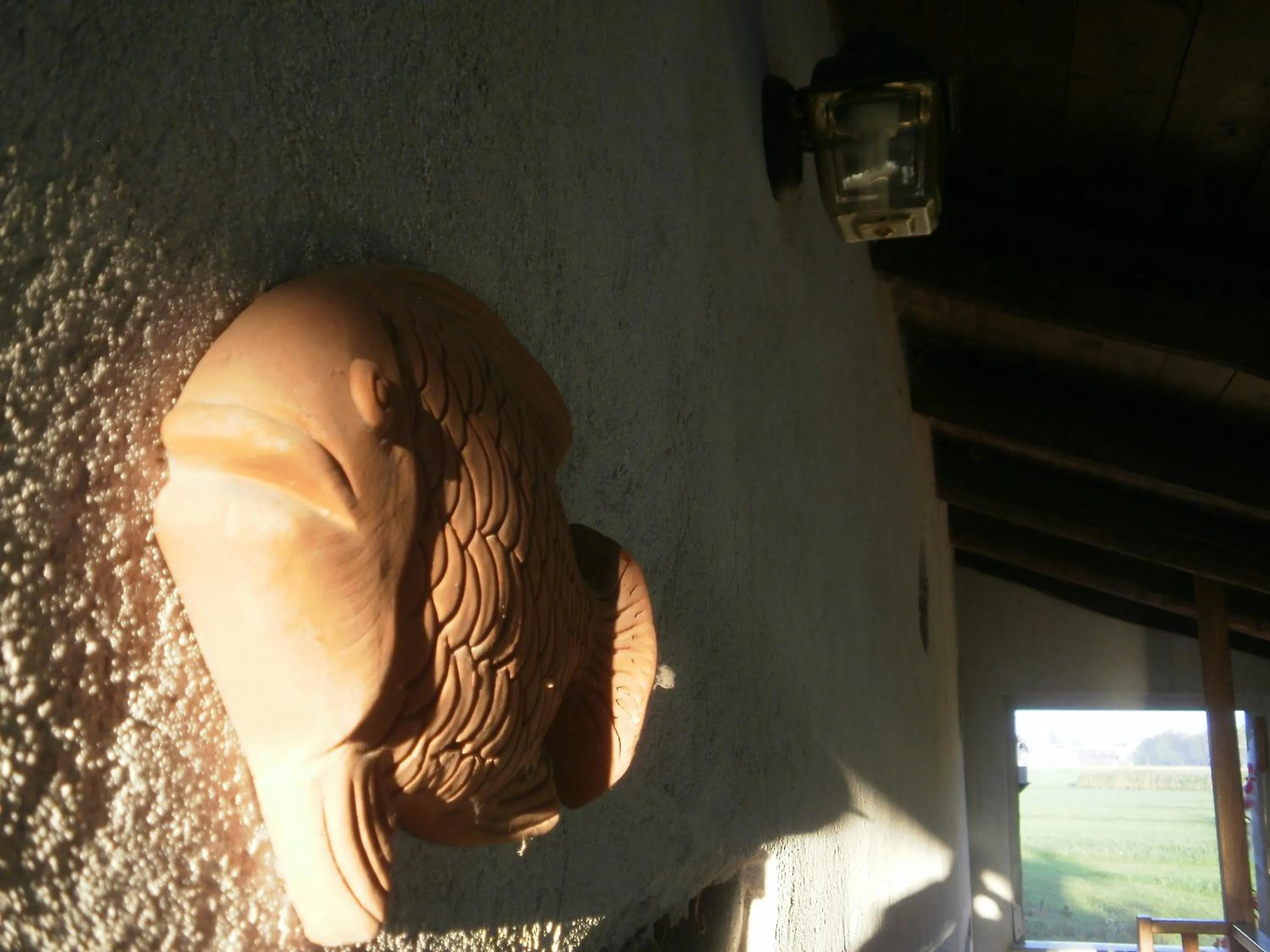 Balcony/Terrace in Bed and breakfast Al Rudun