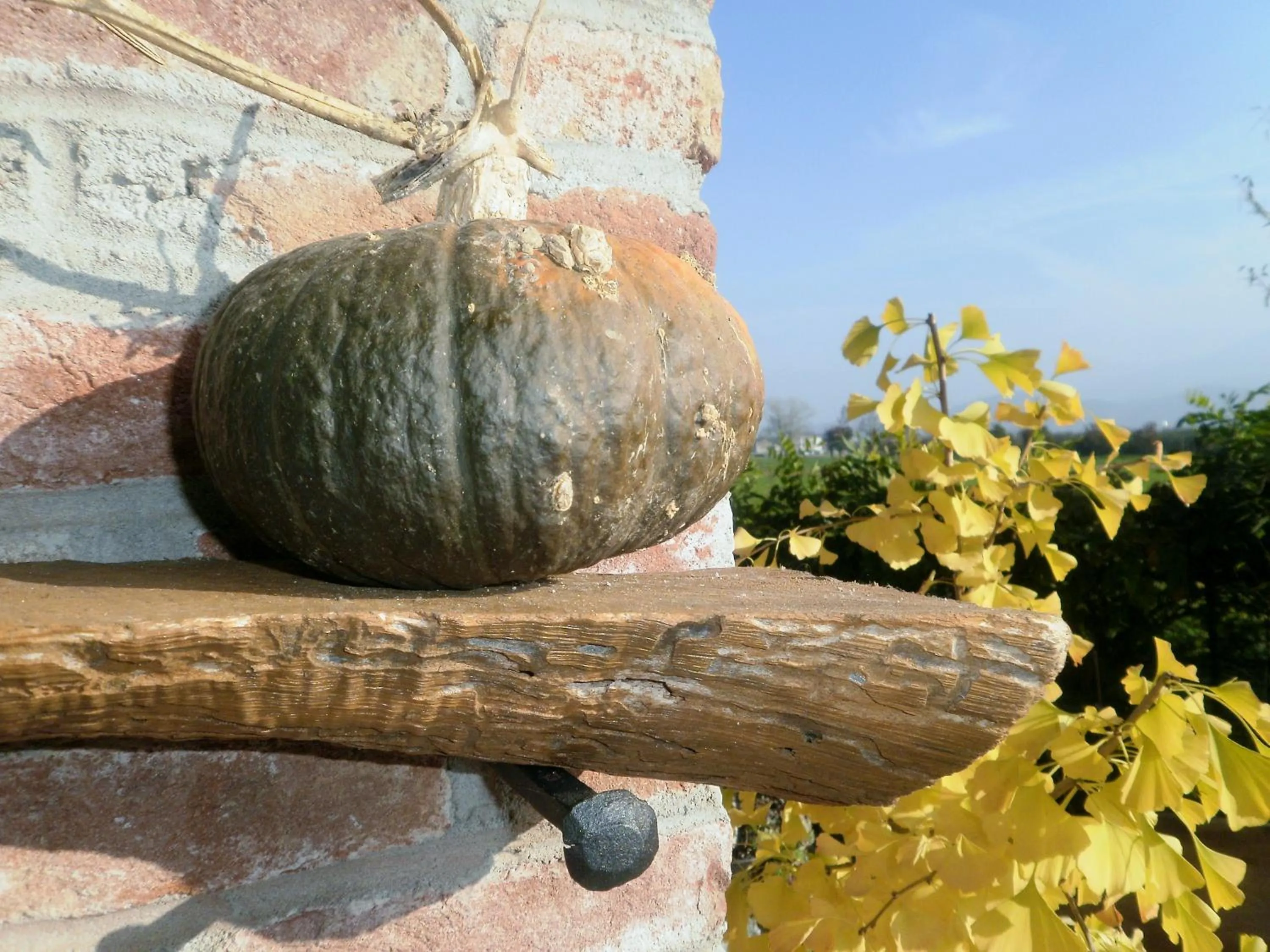 Facade/entrance in Bed and breakfast Al Rudun