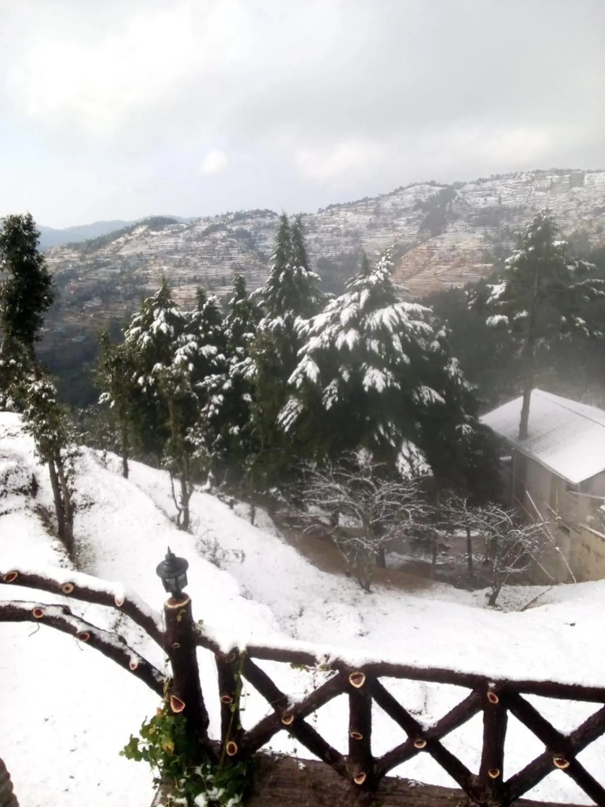 View (from property/room) in Abhi's Cottage