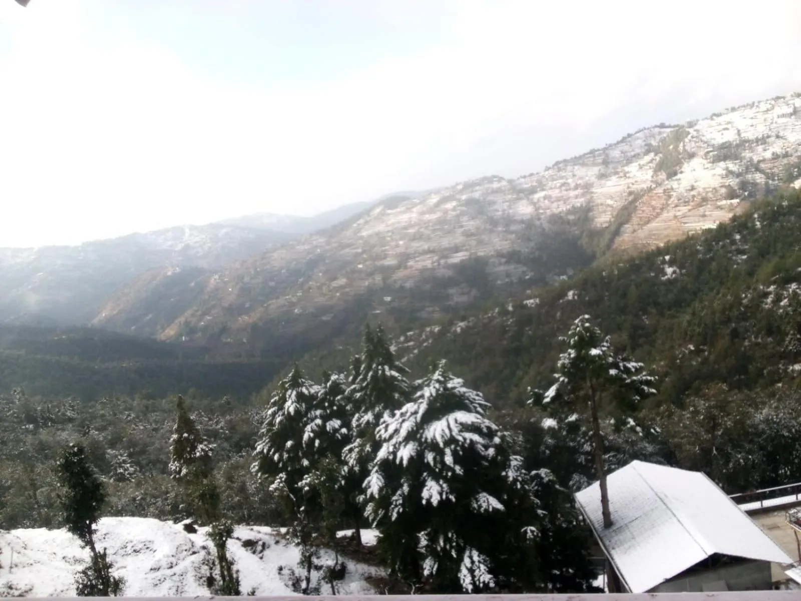 View (from property/room) in Abhi's Cottage