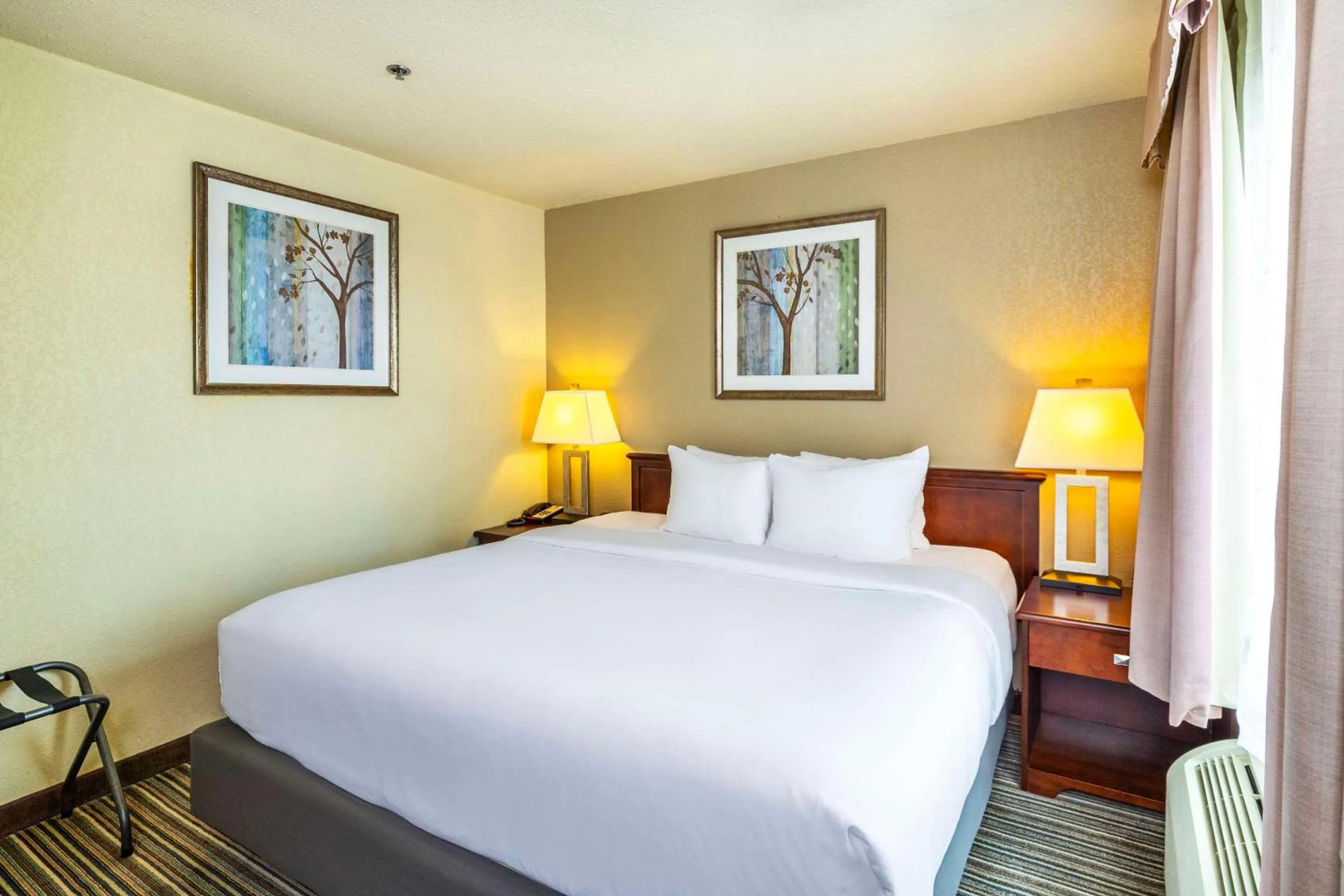 Bedroom, Bed in Quality Inn & Suites Yorkton