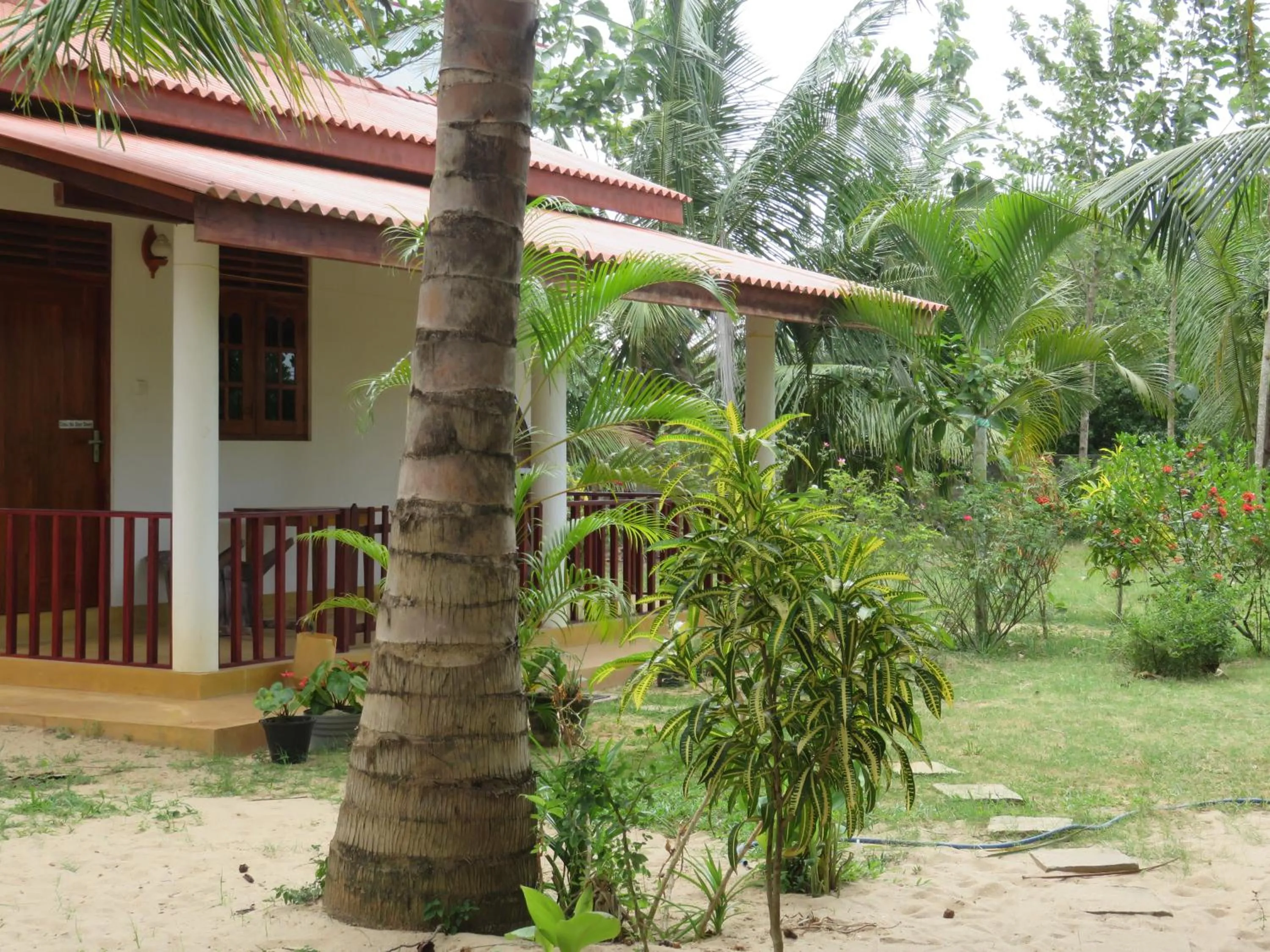 Garden in Beach Lagoon Guesthouse