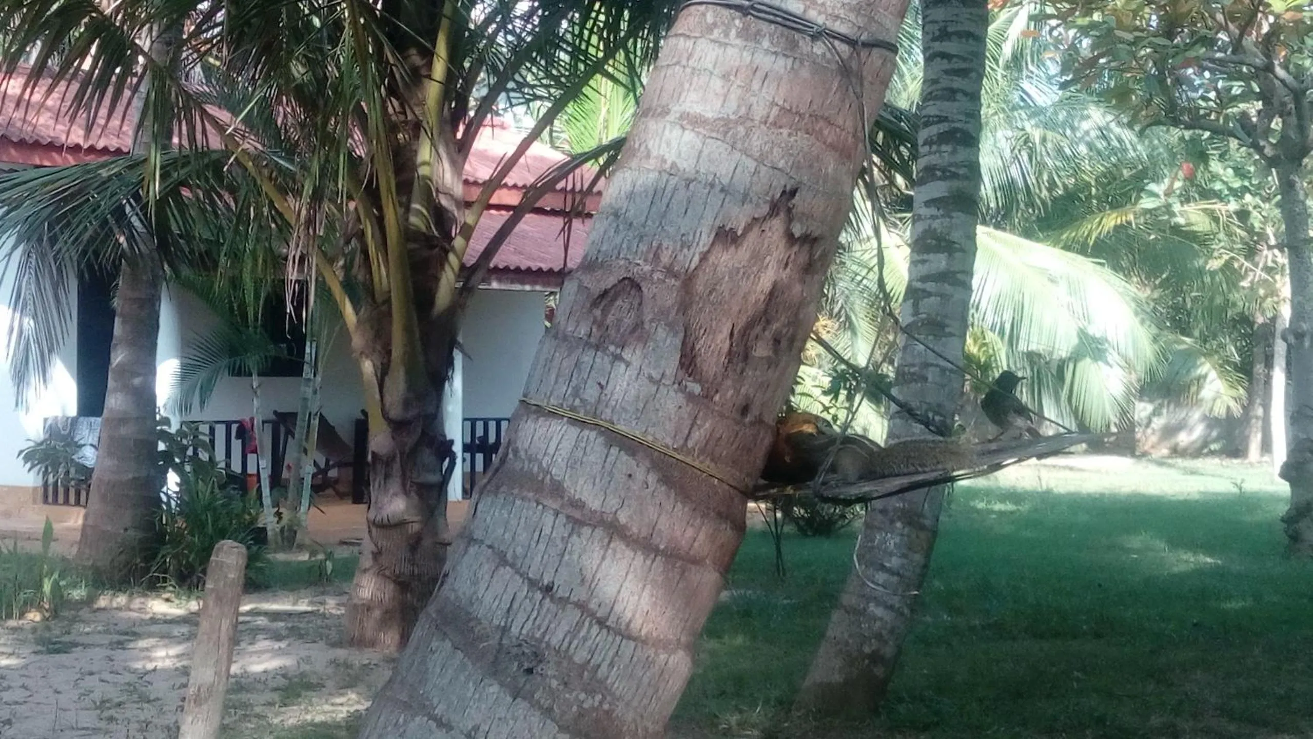 Garden in Beach Lagoon Guesthouse