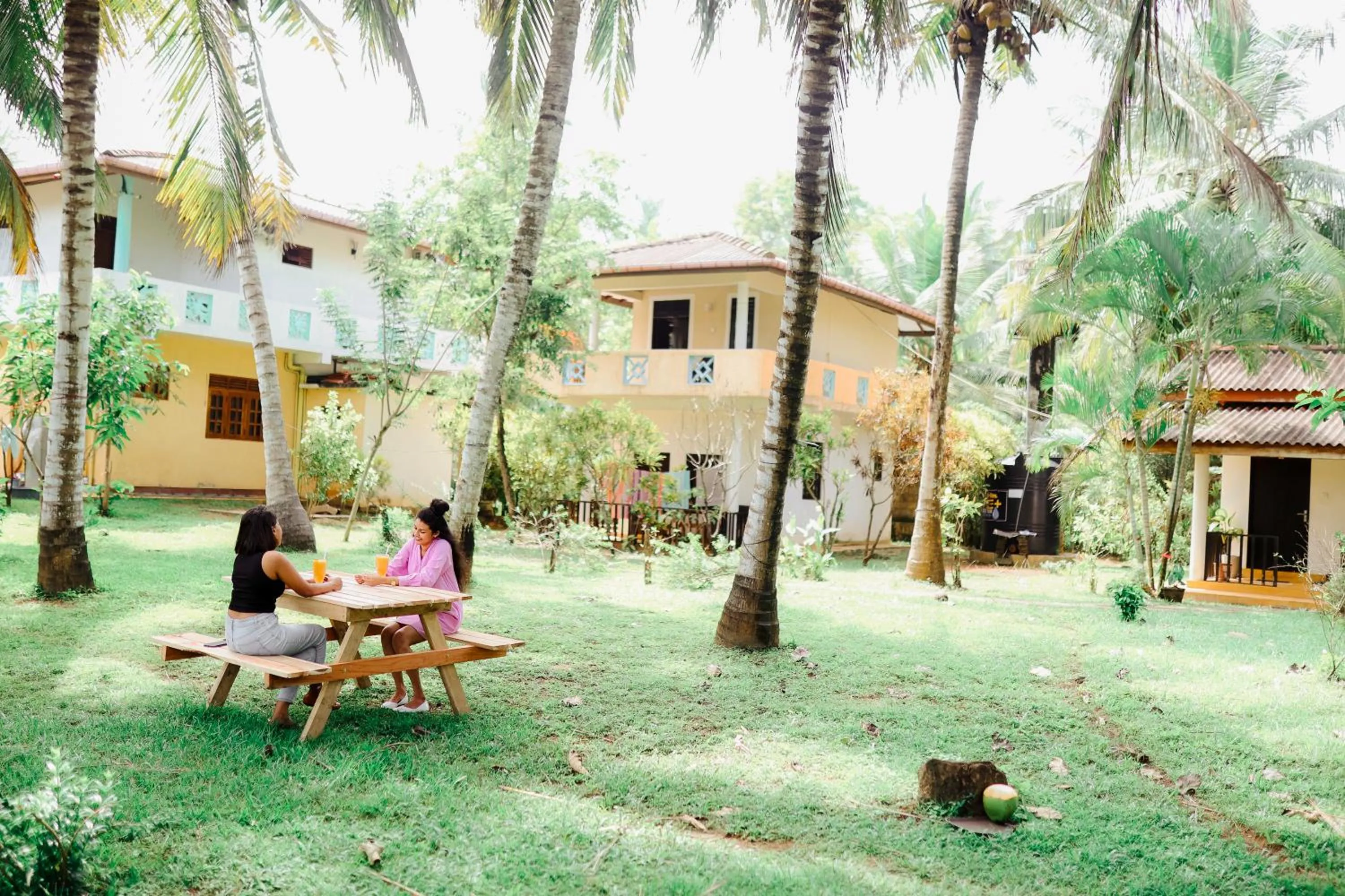 Garden in Beach Lagoon Guesthouse