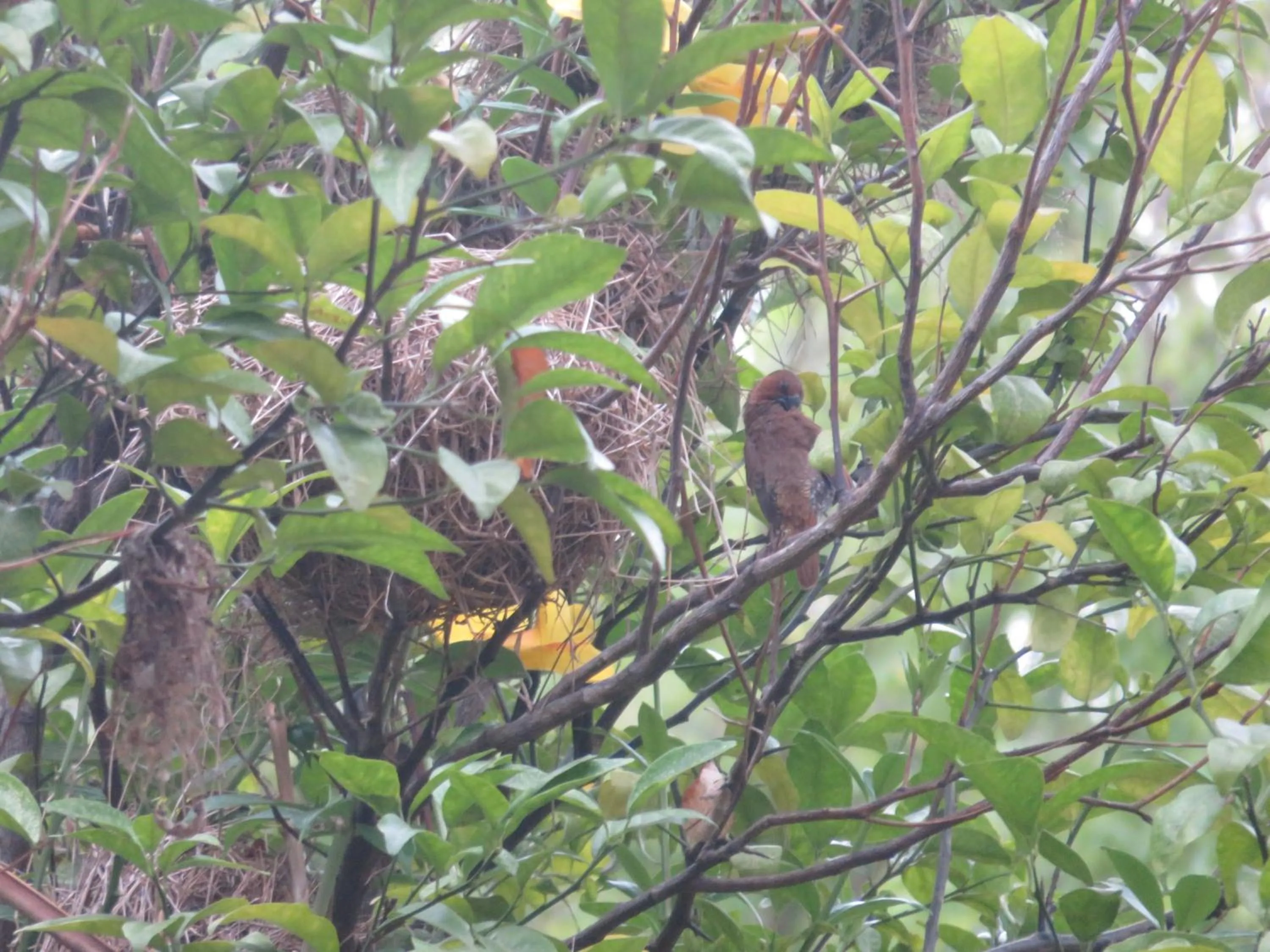 Garden in Beach Lagoon Guesthouse