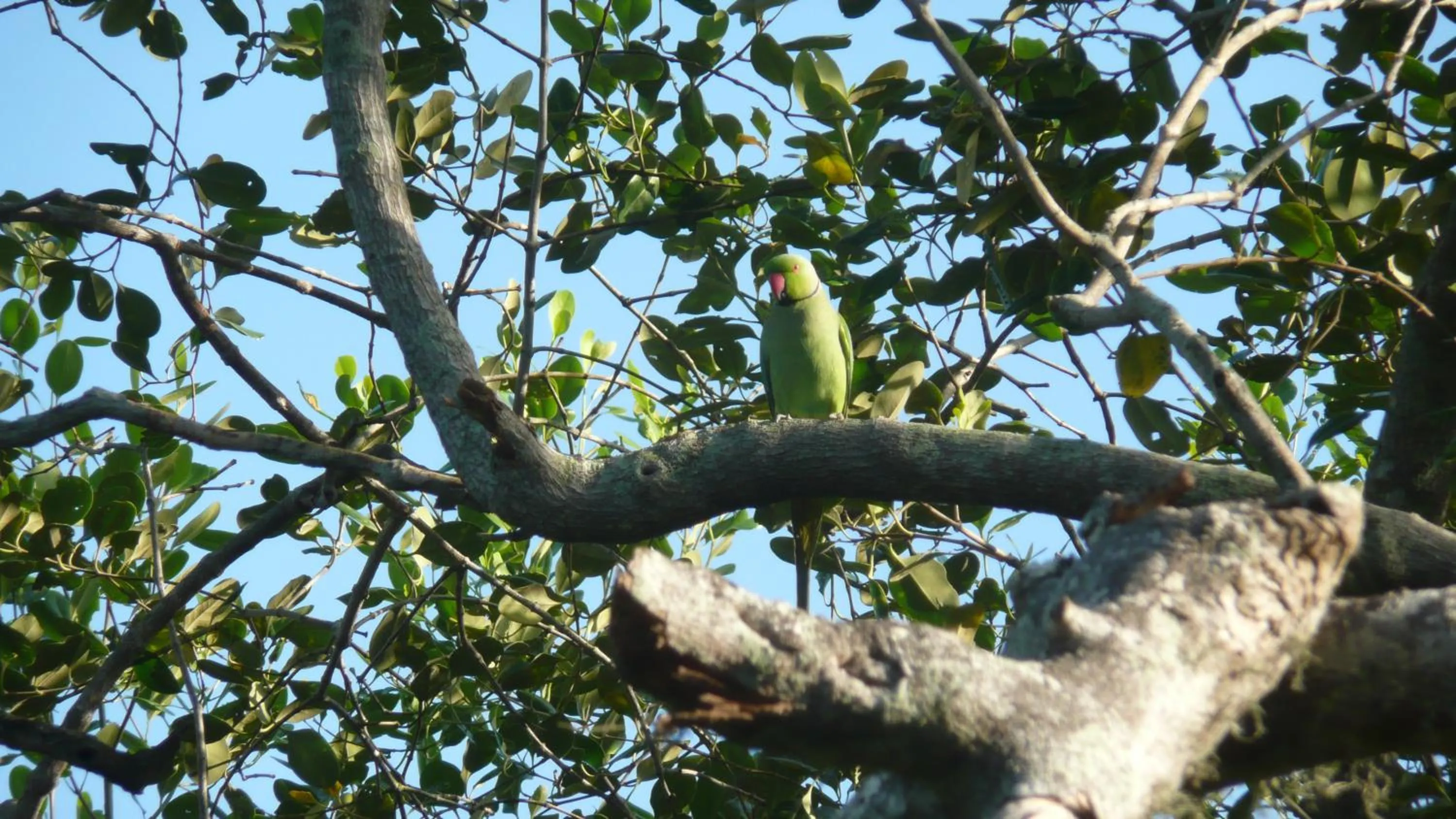 Neighbourhood in Beach Lagoon Guesthouse