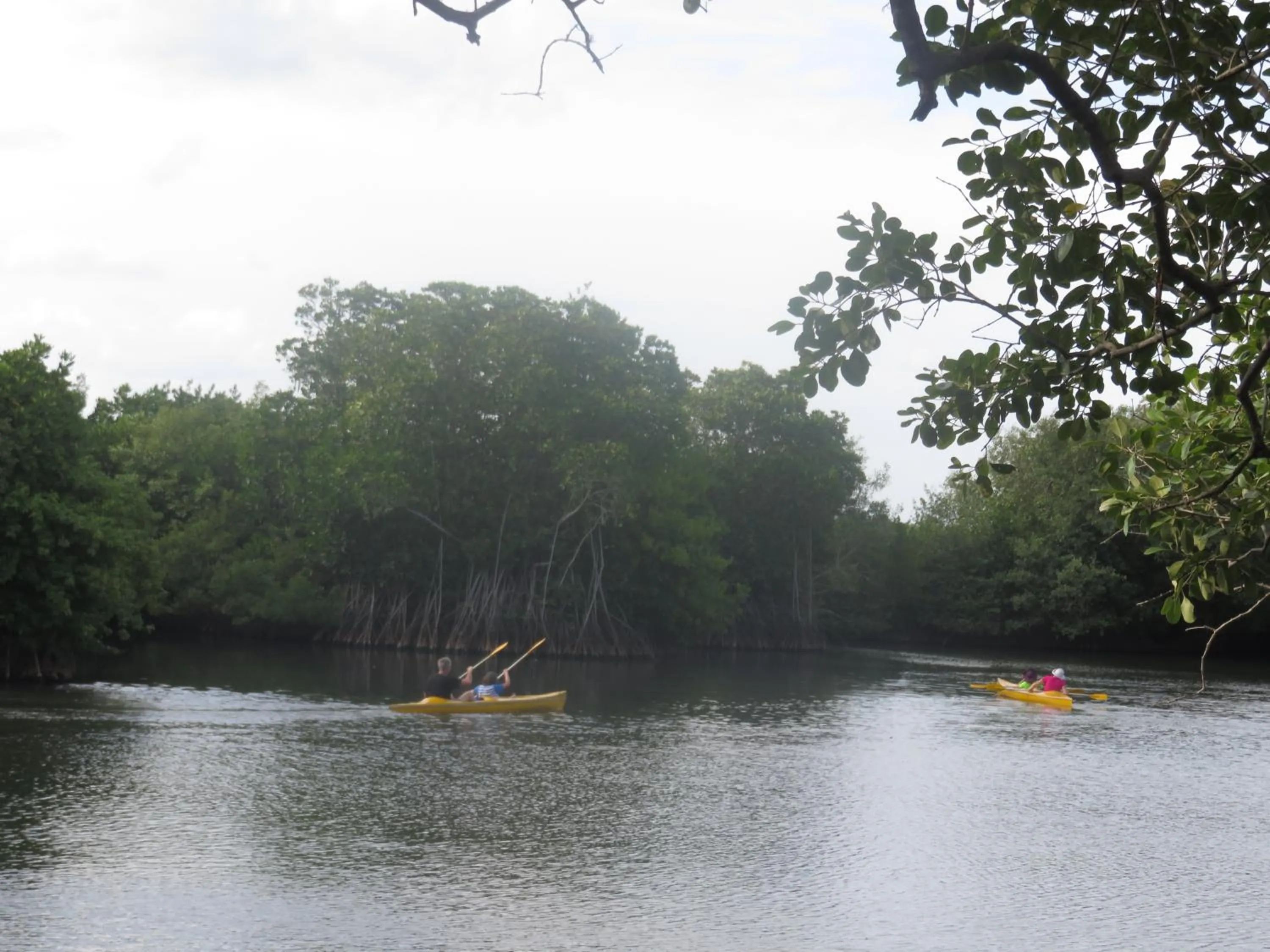 Canoeing in Beach Lagoon Guesthouse