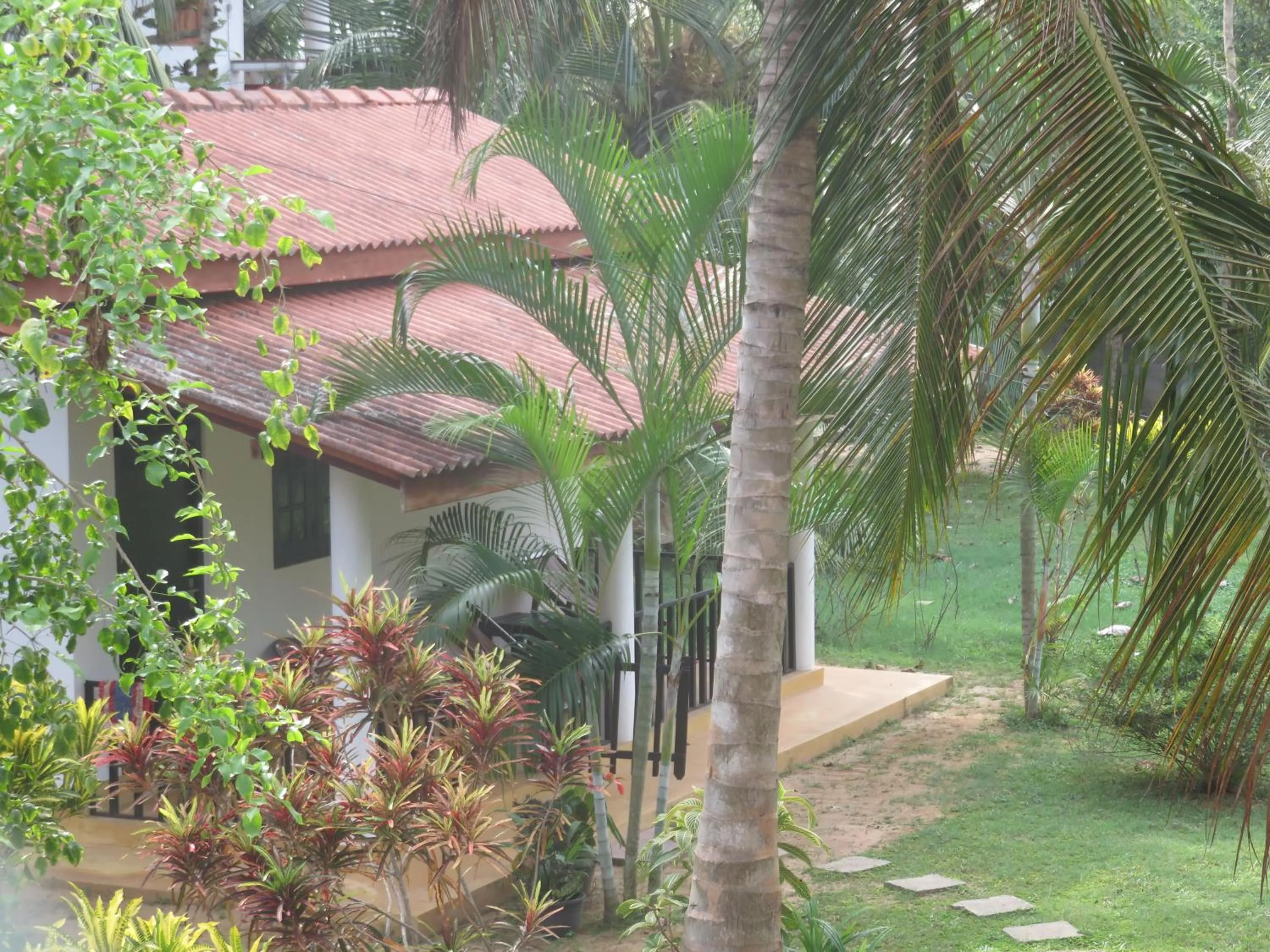 Garden in Beach Lagoon Guesthouse
