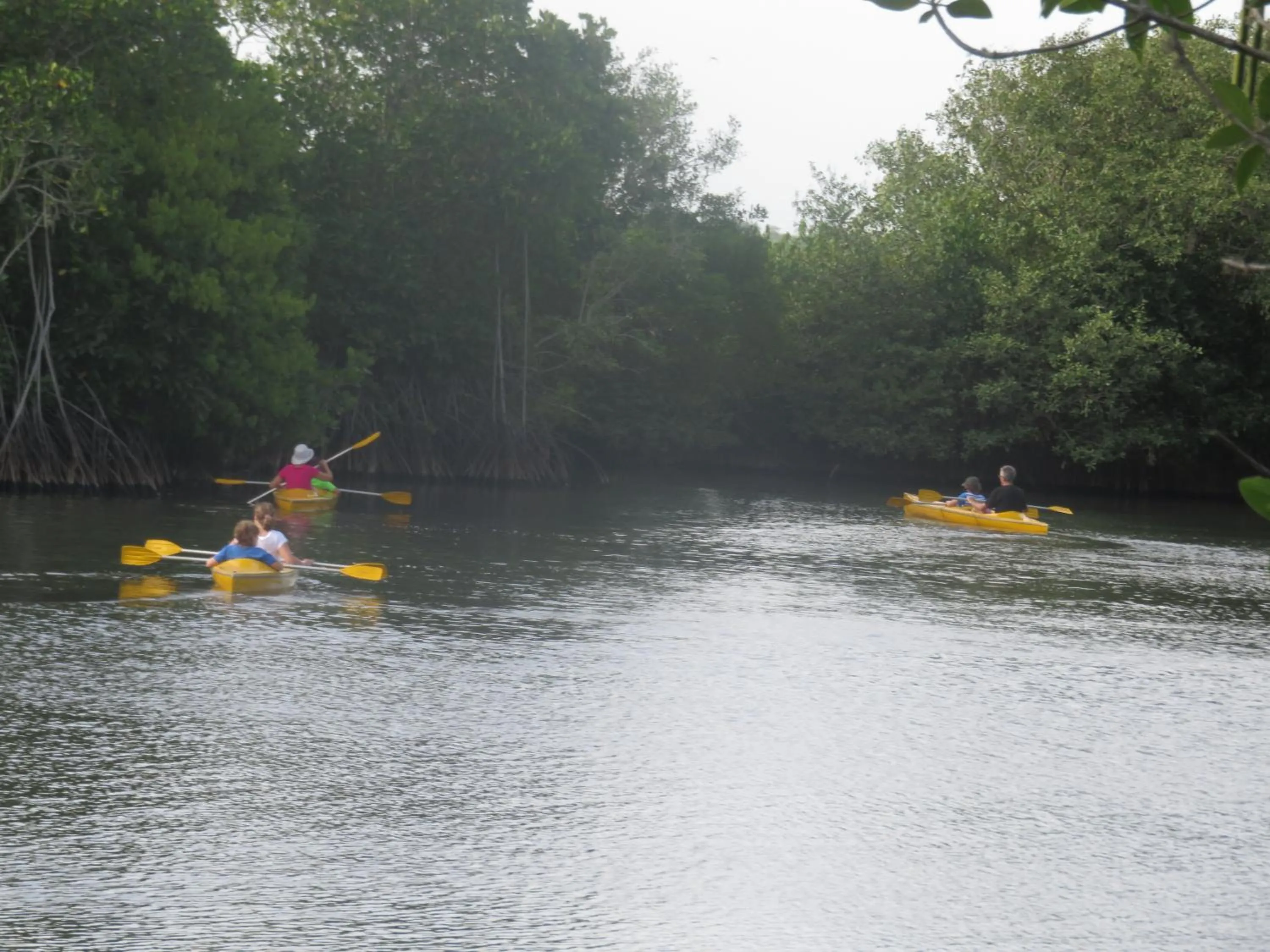 Canoeing in Beach Lagoon Guesthouse