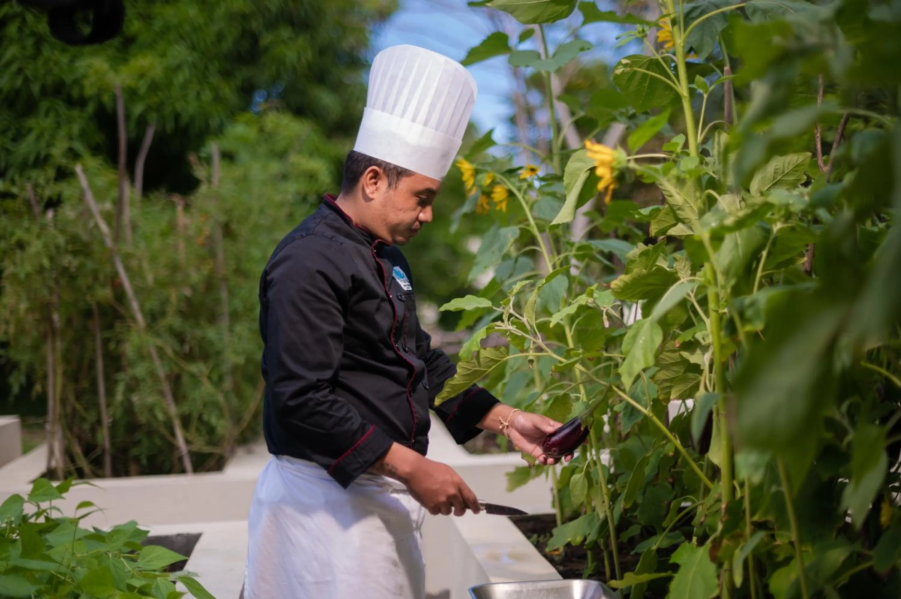 Garden in Mantis Soanambo Hotel And Spa