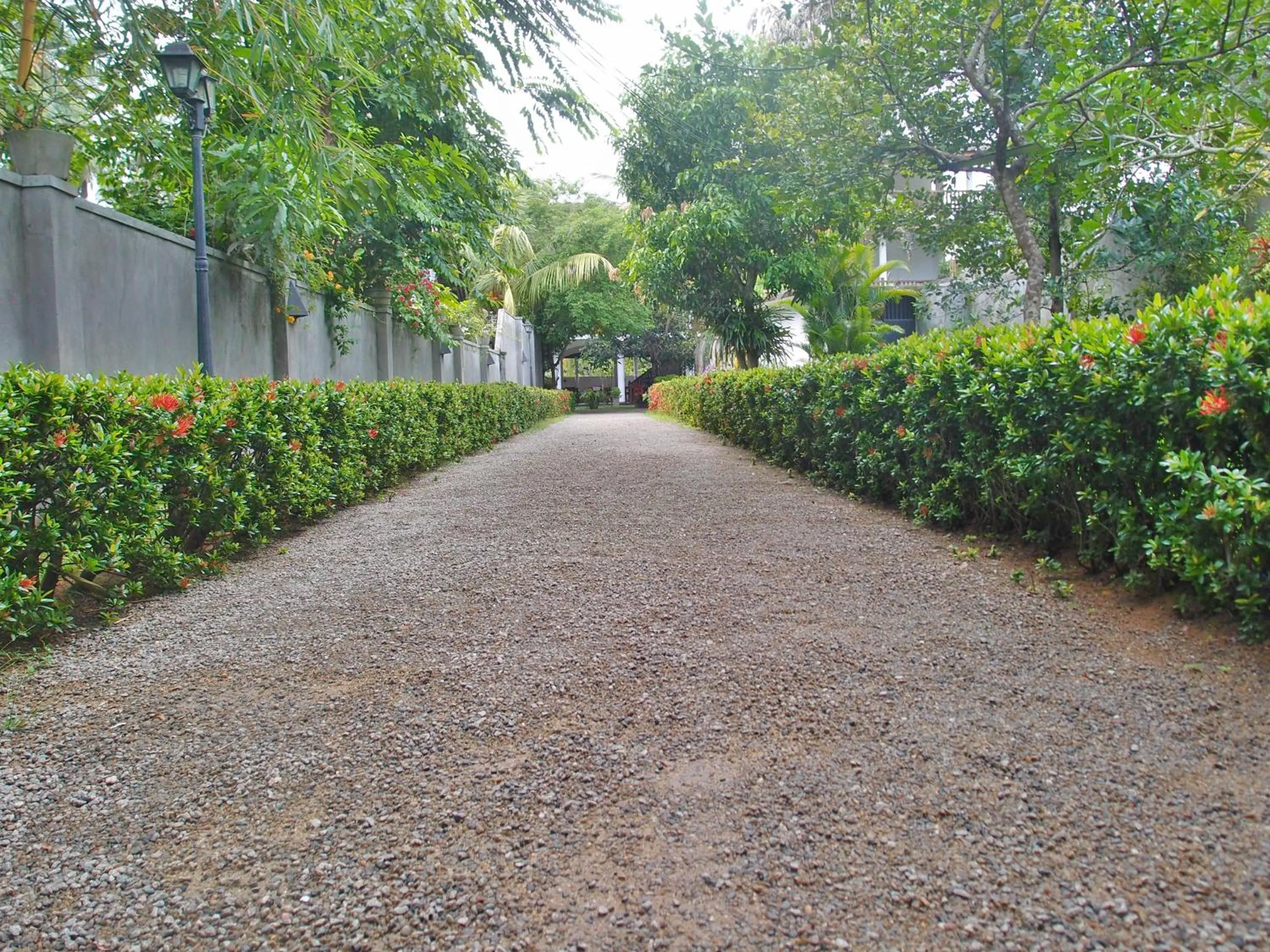 Area and facilities in Unawatuna Nor Lanka Hotel