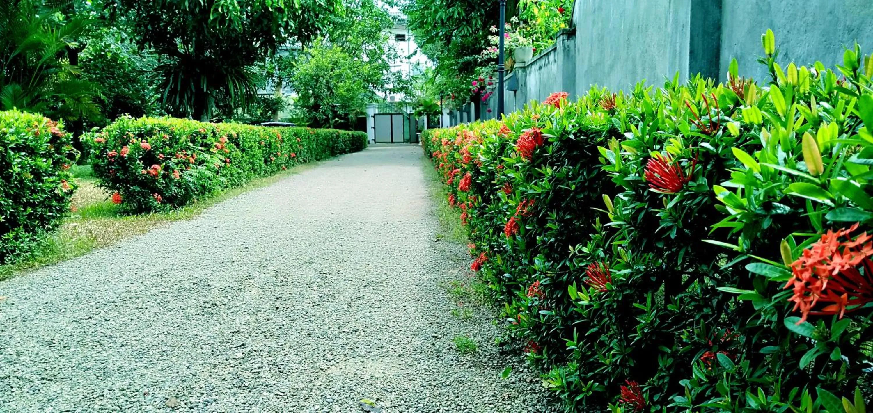 Garden in Unawatuna Nor Lanka Hotel
