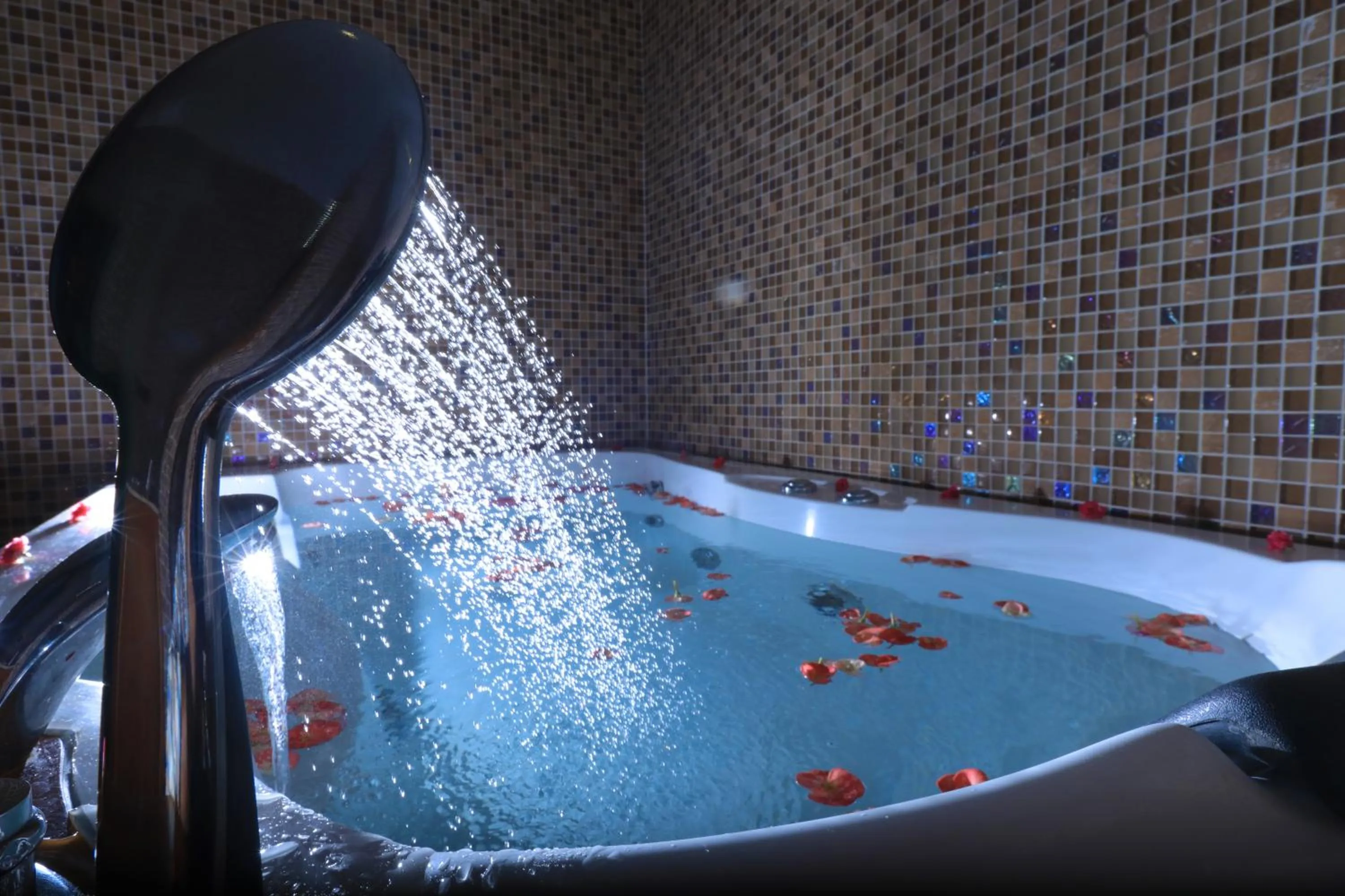 Bath in Jal Mahal Resort and Spa