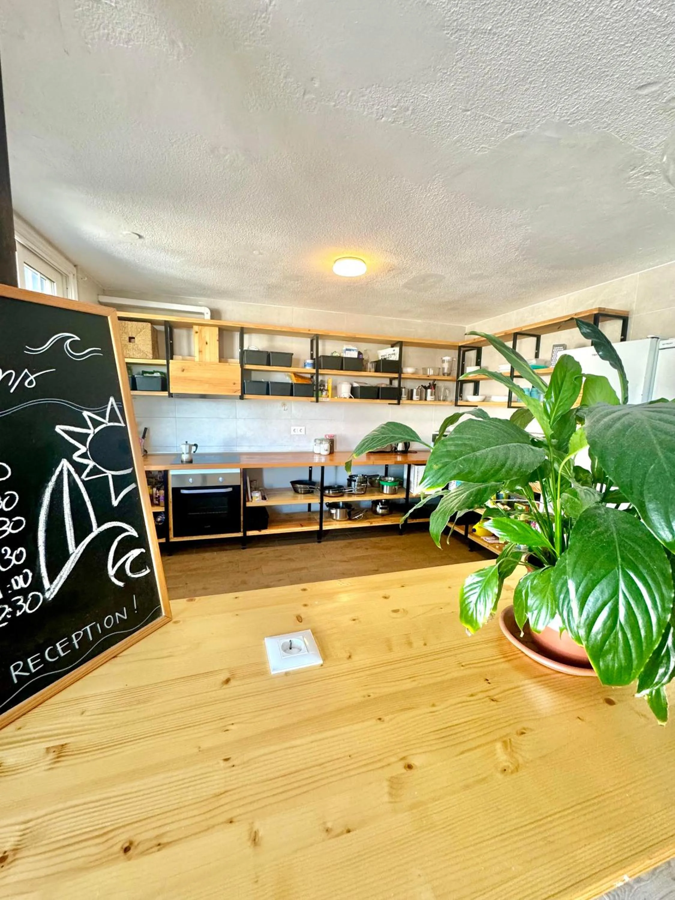 Communal kitchen in Endless Summer Hostel