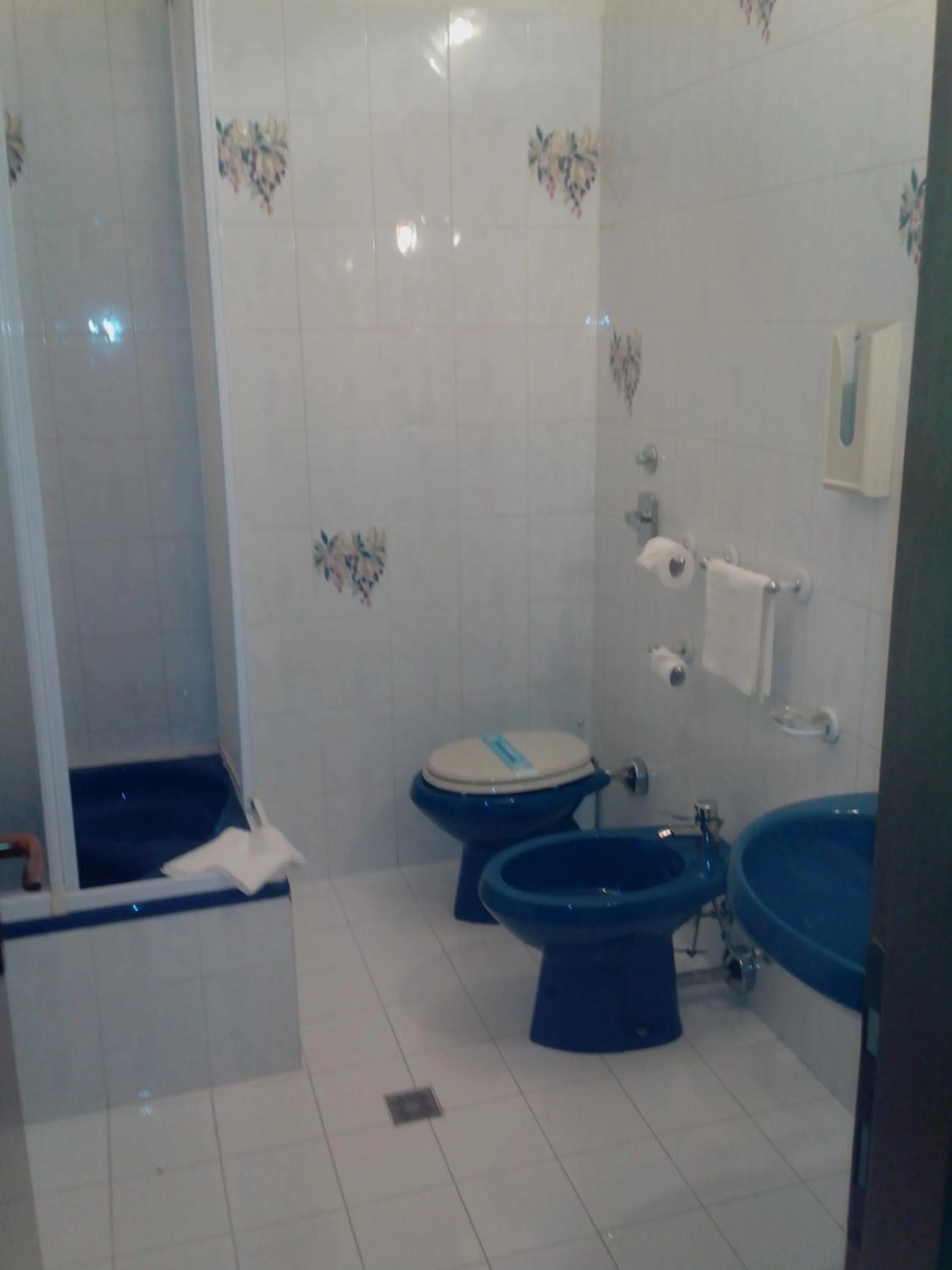 Shower in Hotel Niki