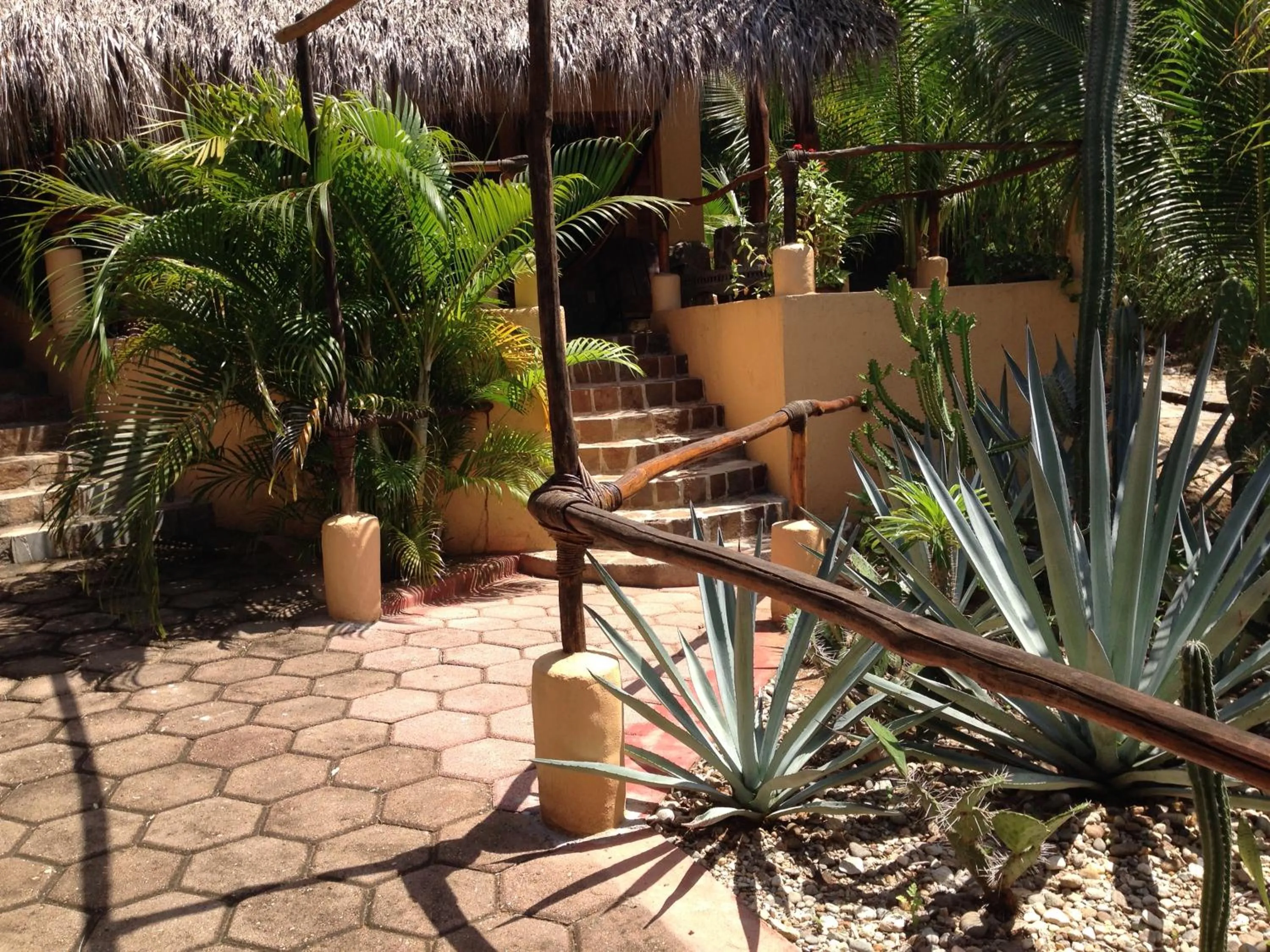 Garden in Las Cabañas Mágicas