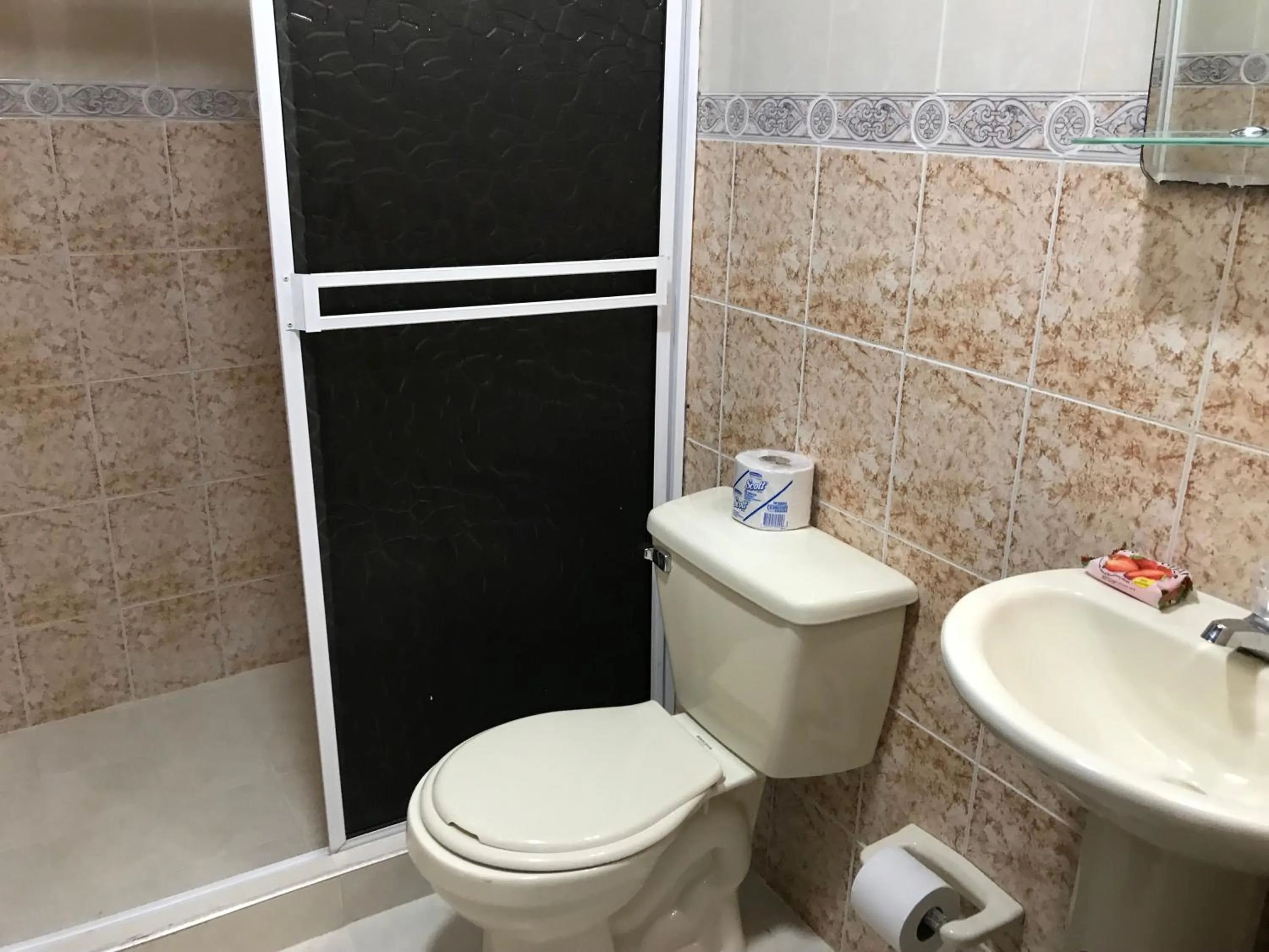 Toilet in Caribbean Island Hotel