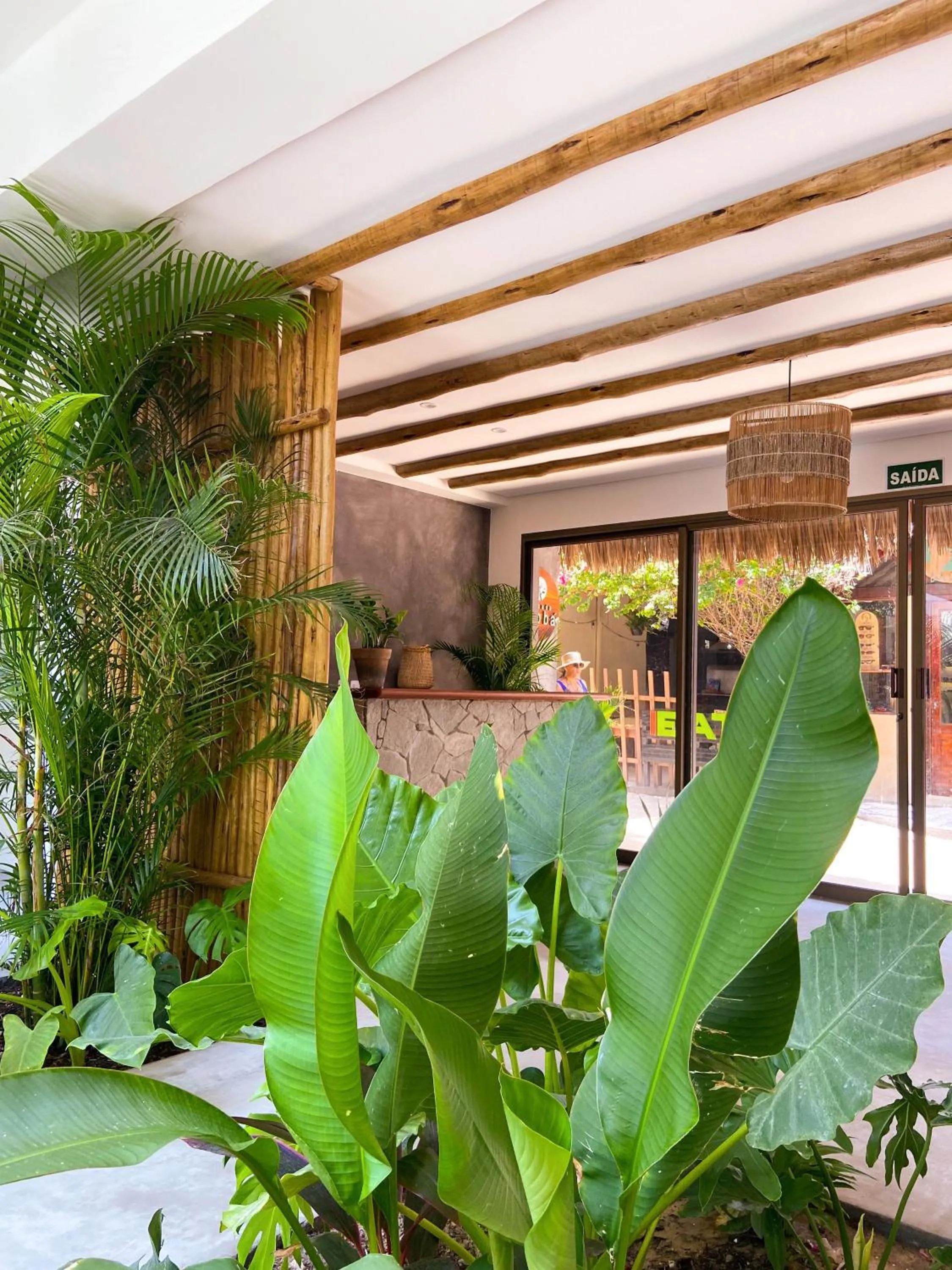 Garden view in Pousada Baobá