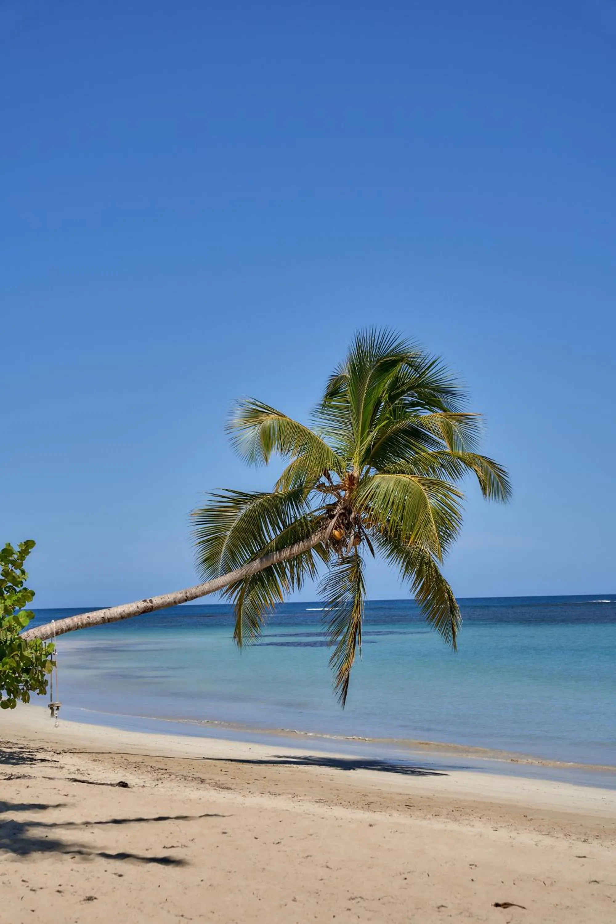 Beach in Empyrean Tropical Wellness Portillo