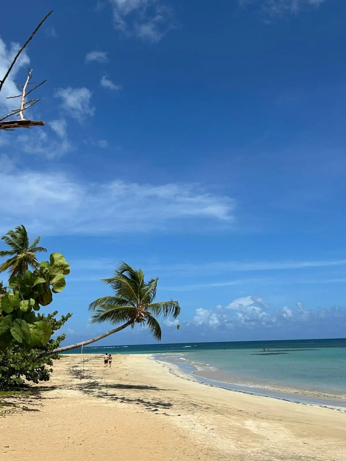 Beach in Empyrean Tropical Wellness Portillo