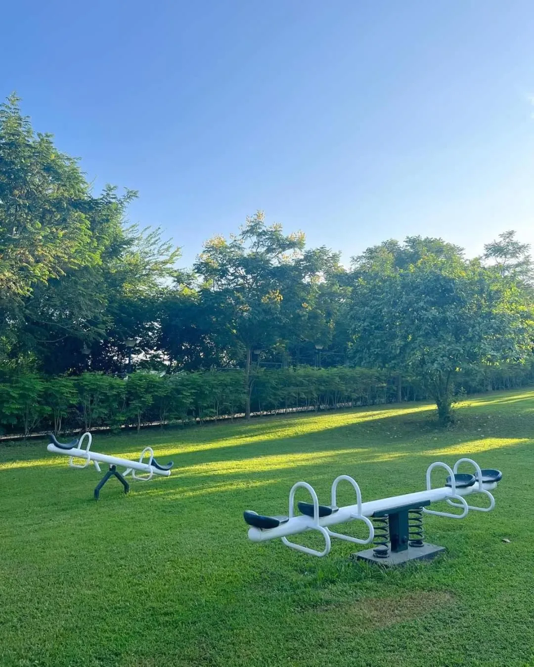 Activities in The Vineyard at Tanauan