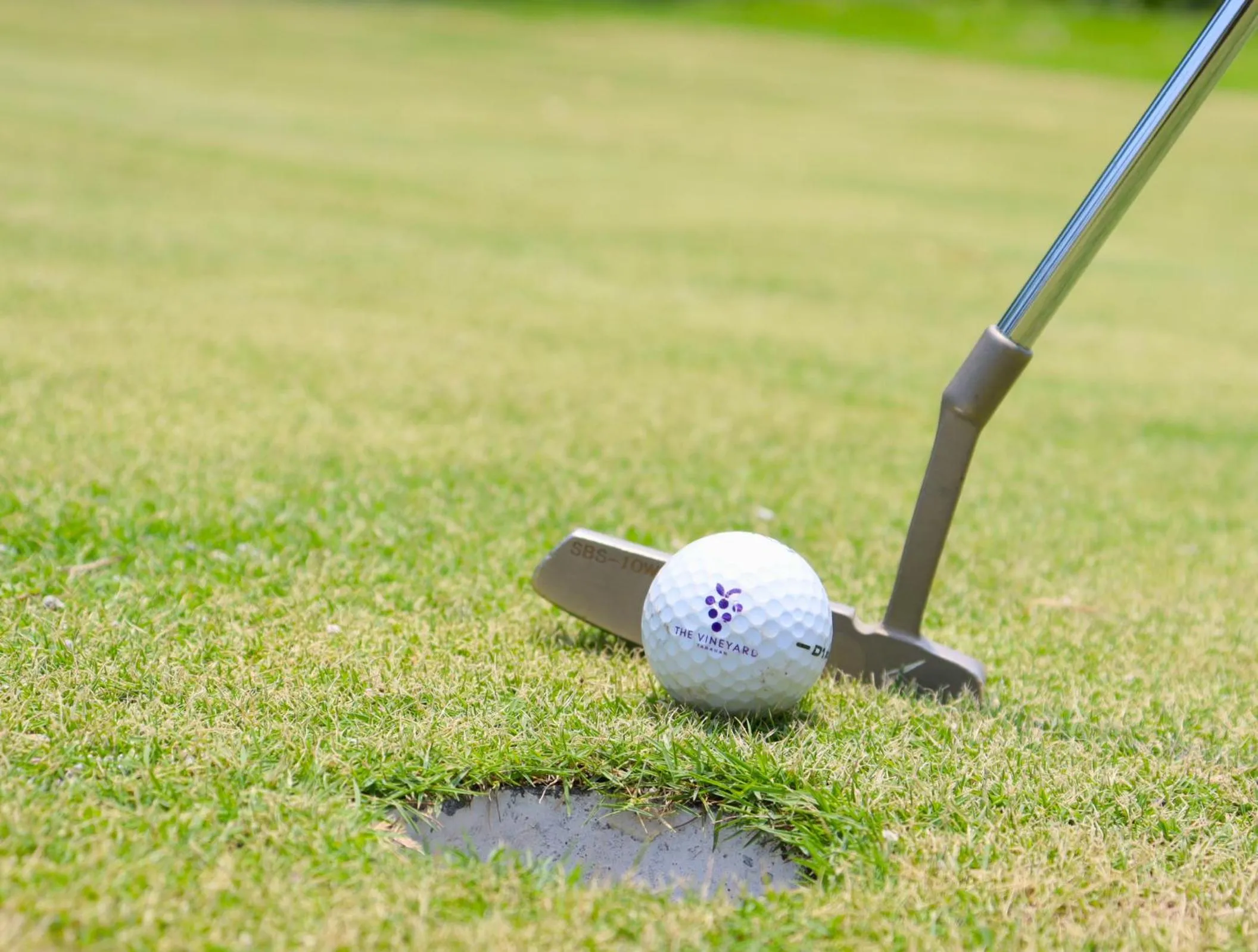 Minigolf in The Vineyard at Tanauan