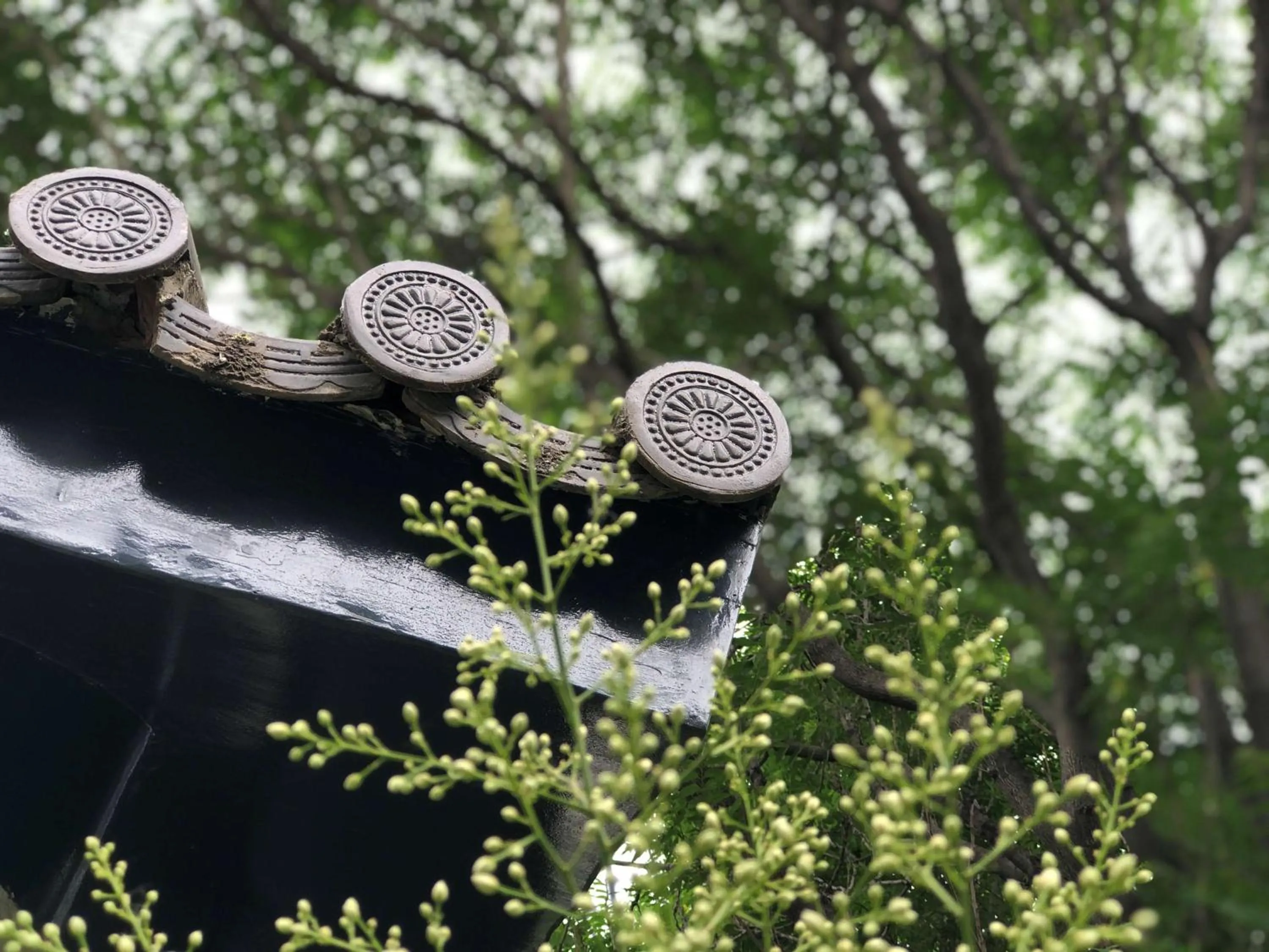 Property building in Angsana Xian Lintong Hotel